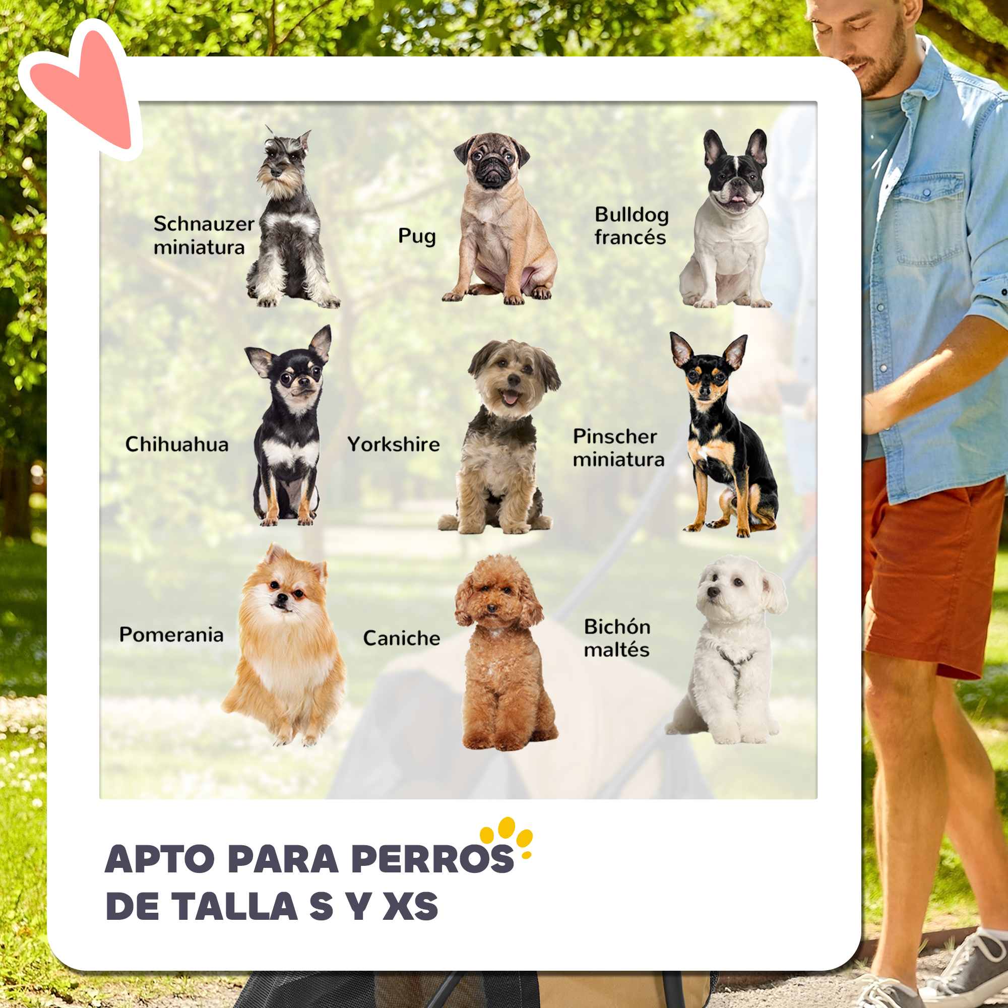 Imagen muestra razas de perros. Texto: Adecuado para perros pequeños y XS.