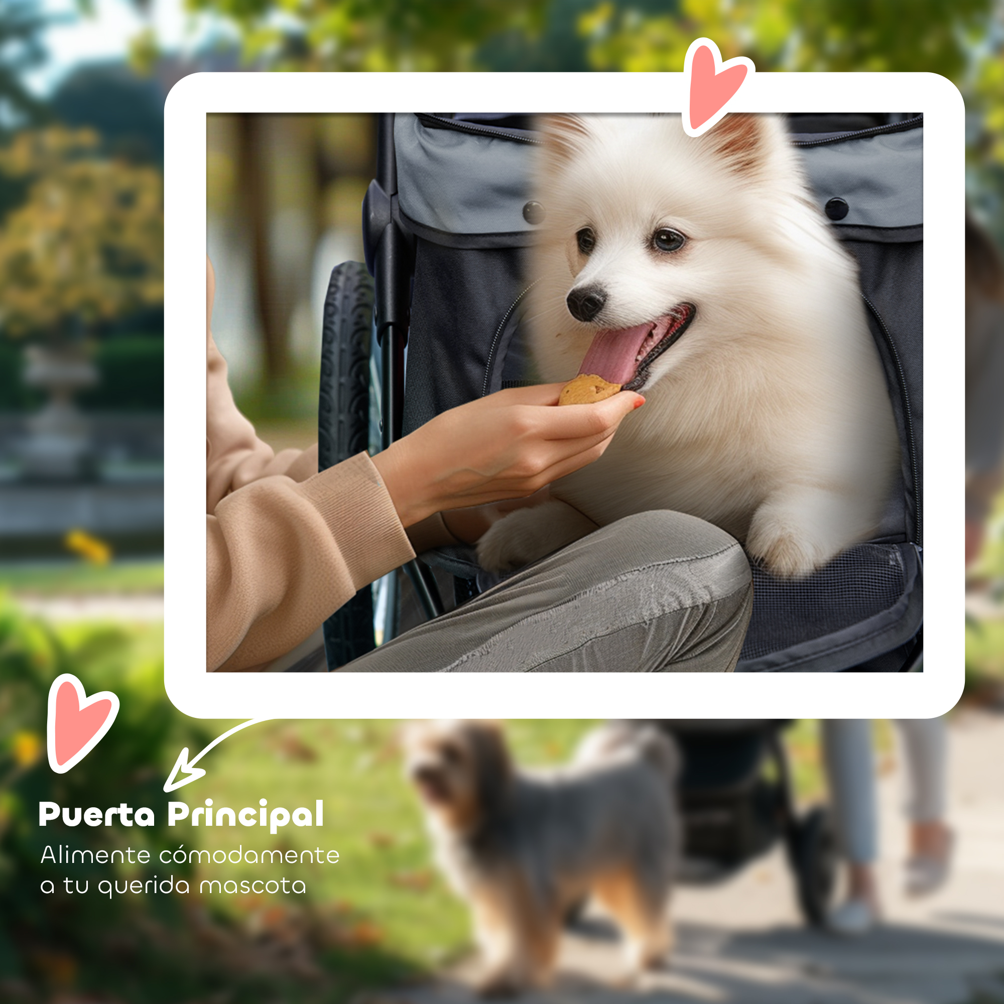 Una persona alimenta a un perro blanco en una carriola gris para mascotas en un sendero del parque, con otro perro borroso debajo.