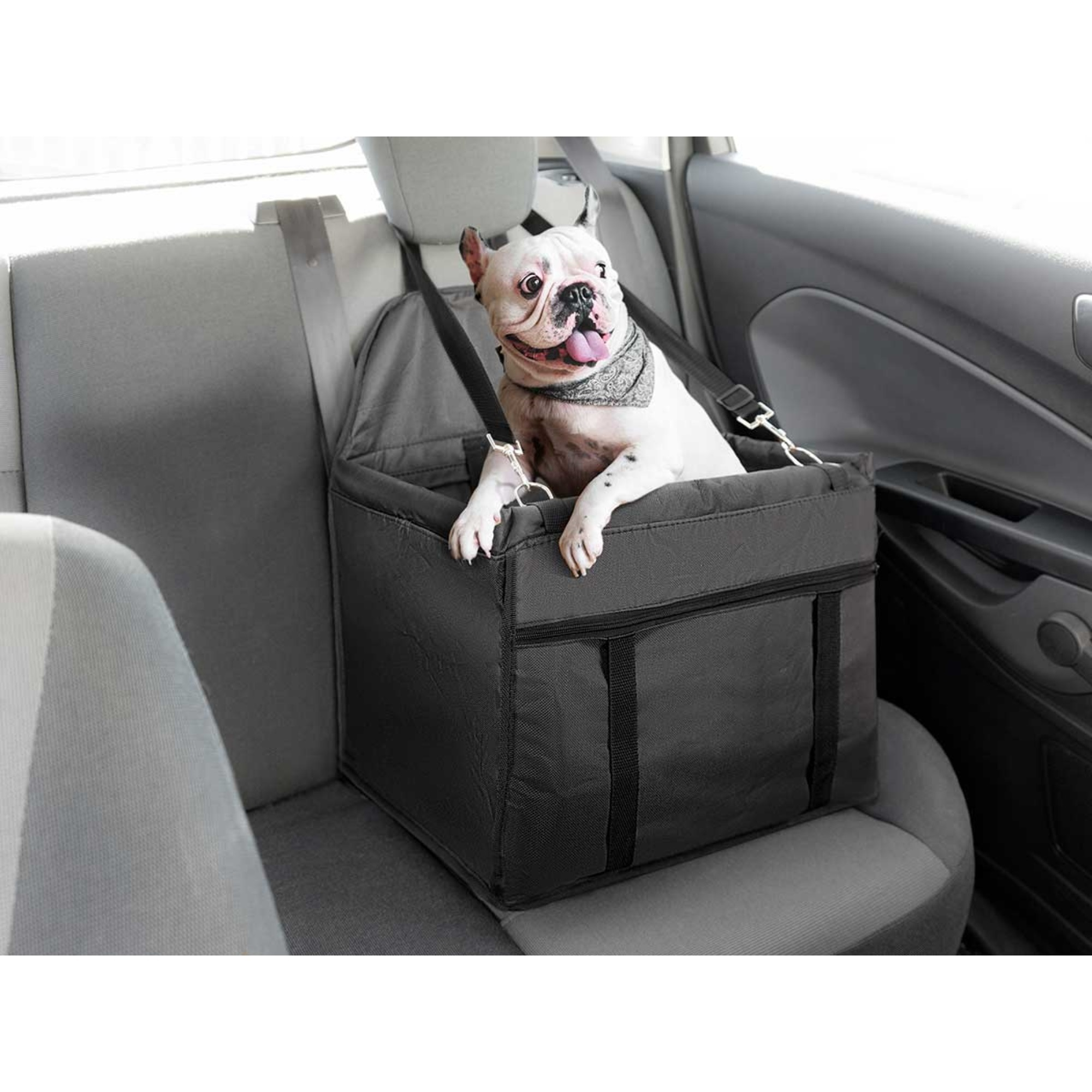 Perro en asiento de coche negro, interior gris. El perro tiene un pañuelo.