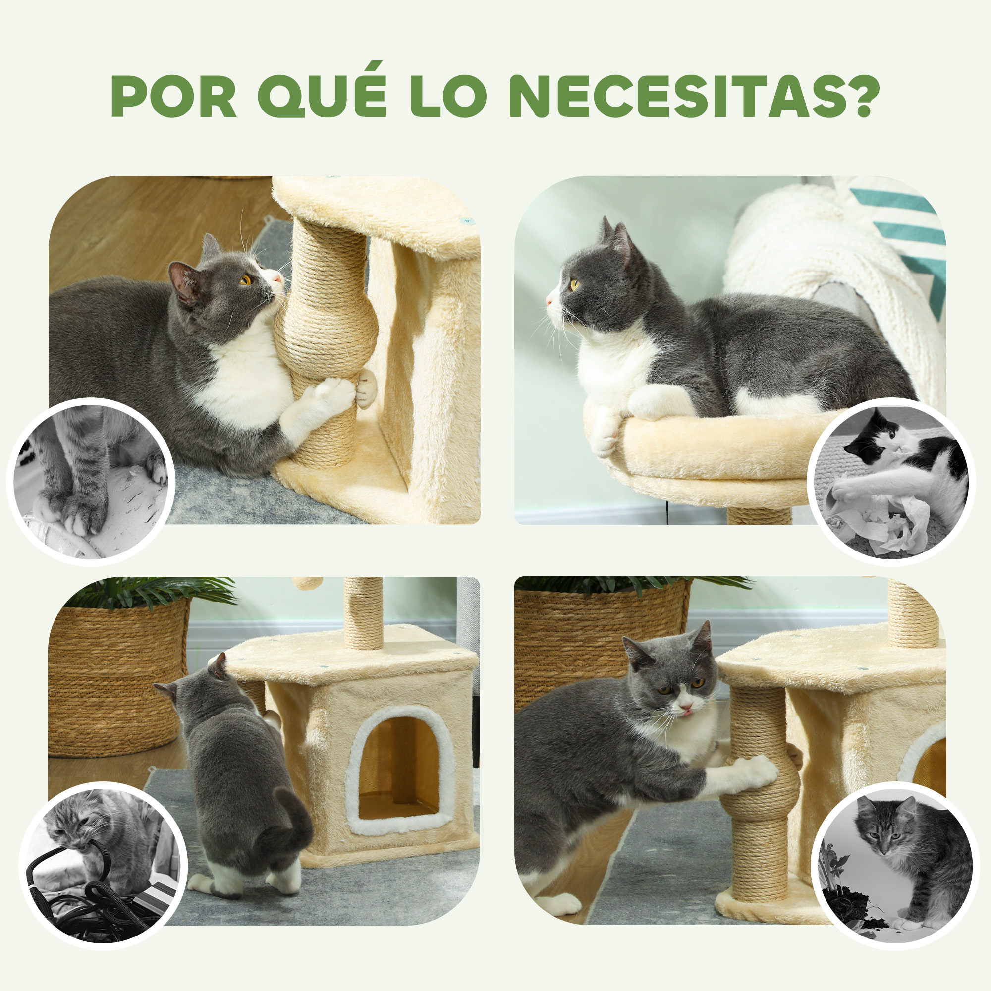 Múltiples fotos de gatos interactuando con un árbol para gatos, jugando y descansando.