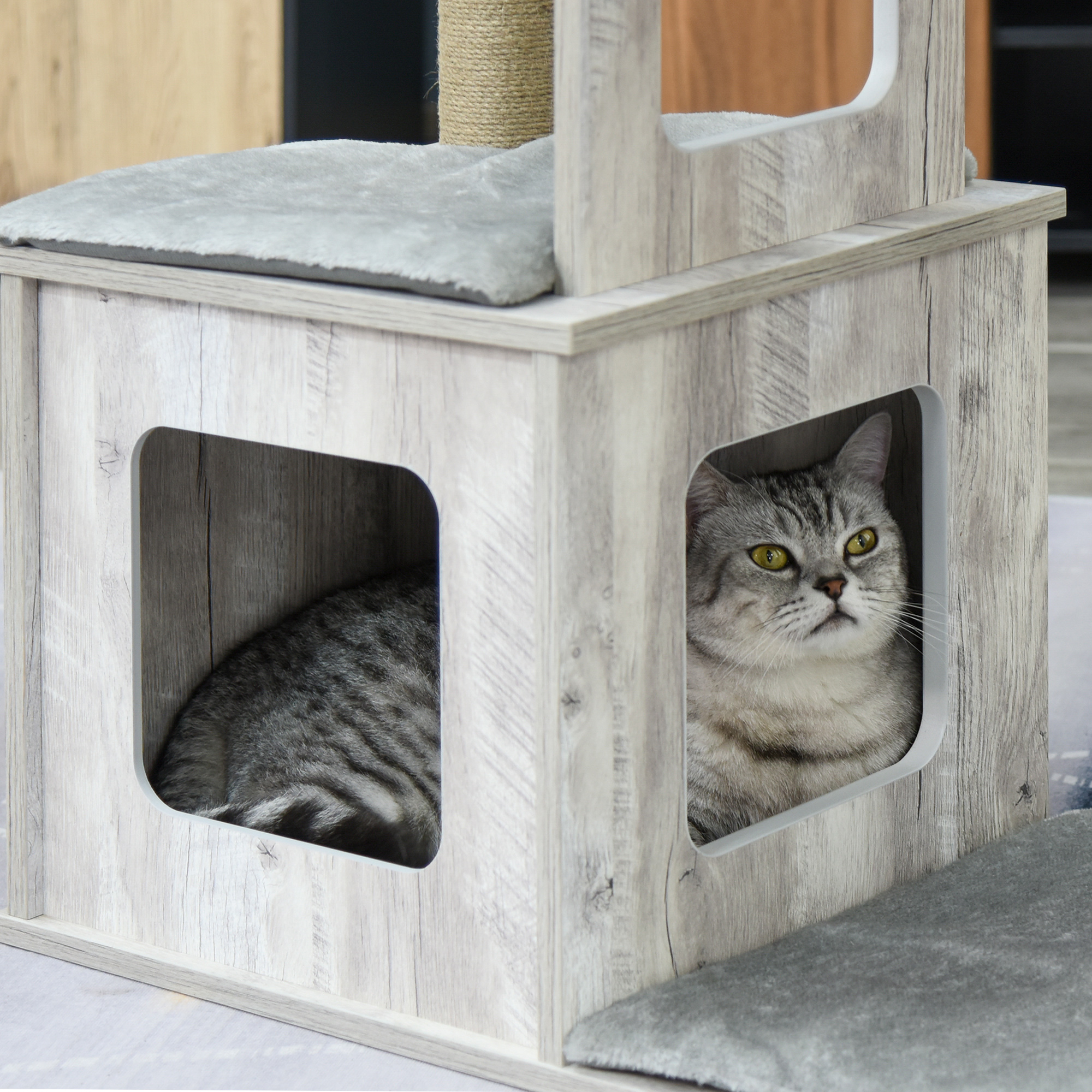 Gato en una casa de gatos de madera. El gato es gris, atigrado y mira hacia arriba.