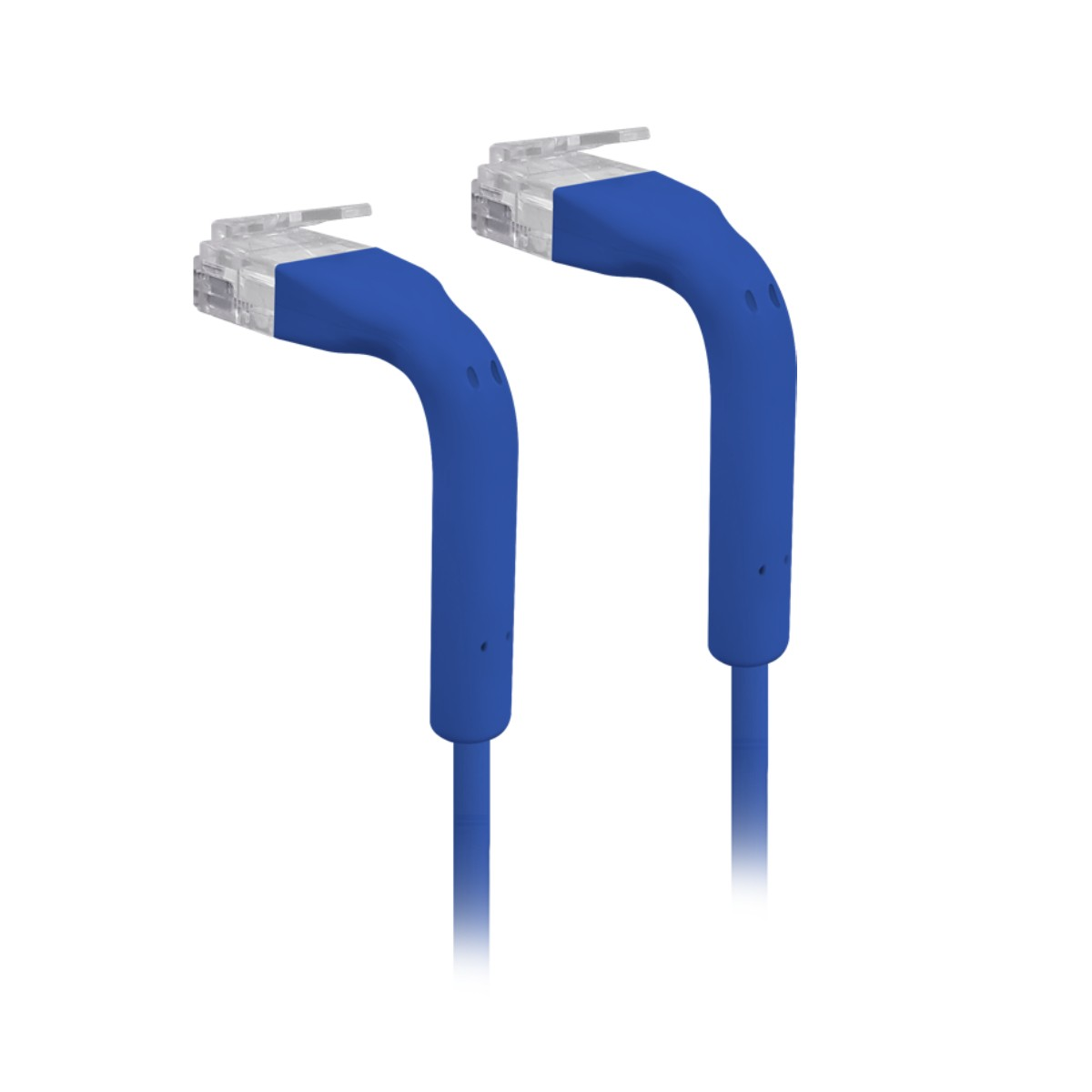 Due connettori per cavi Ethernet blu, forma curva. Sfondo bianco. Teste dei connettori in plastica trasparente.