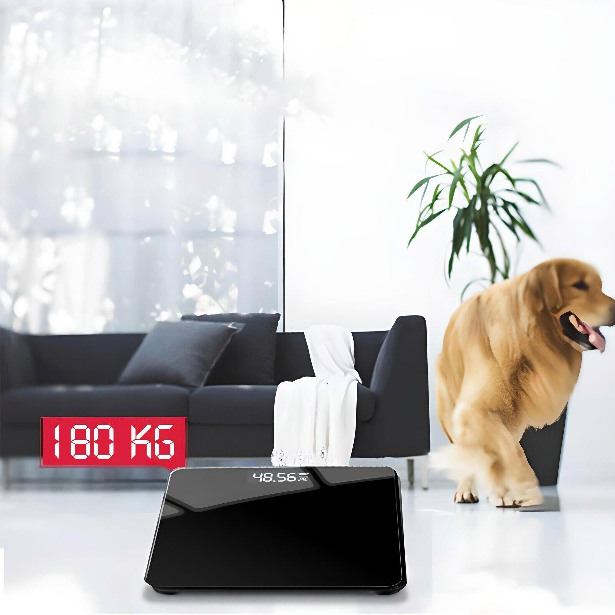 Eine Digitalwaage mit 48,56 kg. Ein Golden Retriever geht an der Waage vorbei.