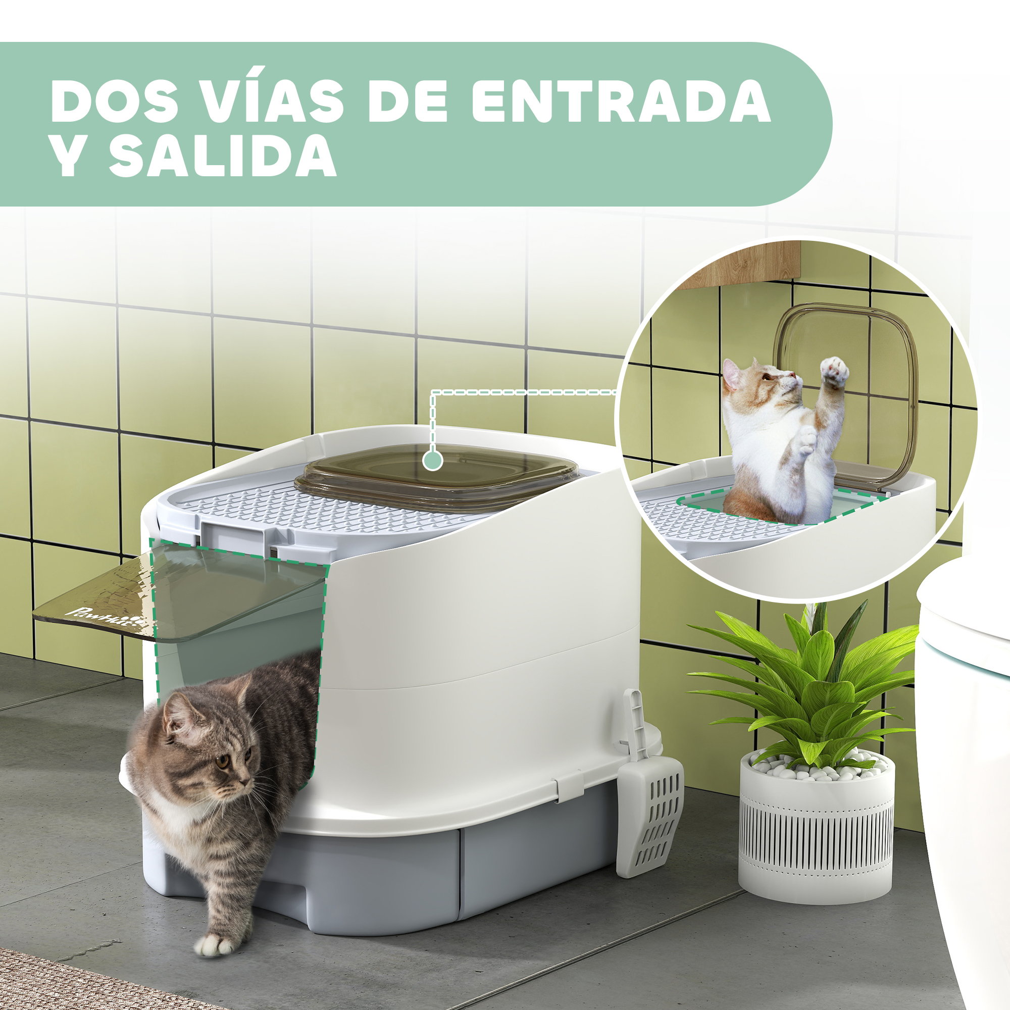 Un gato entrando en una caja de arena blanca. La caja está en un baño.