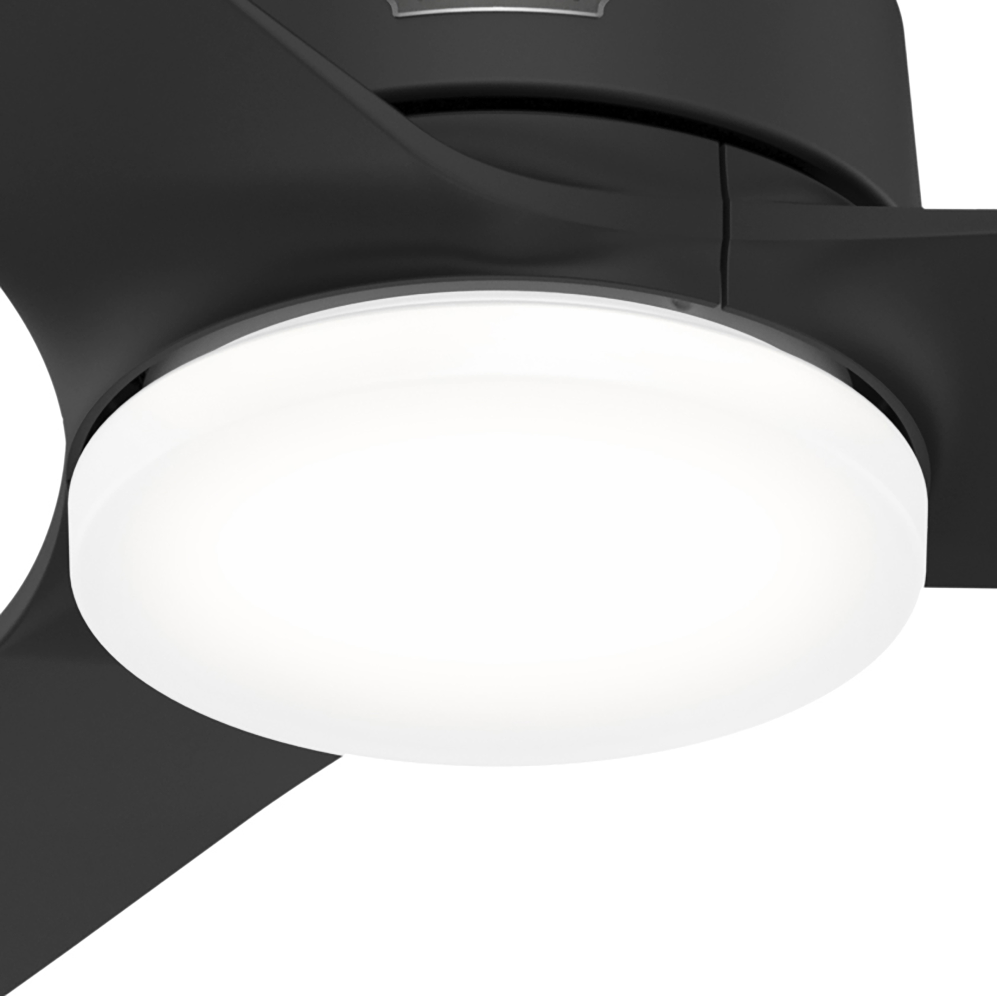 Nahaufnahme eines schwarzen Deckenventilators mit weißem Licht und schwarzen Flügeln.