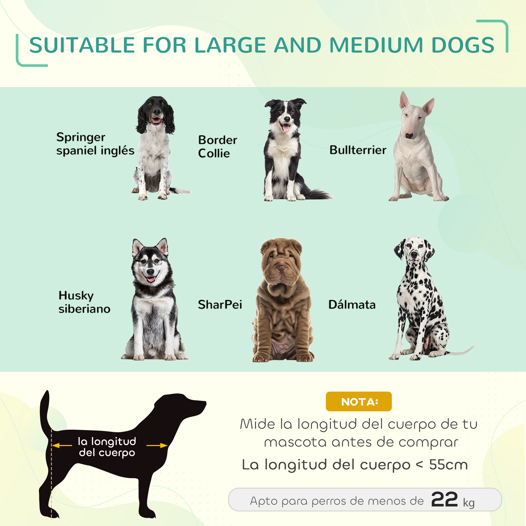 Seis razas de perros se muestran con sus nombres. Una silueta muestra cómo medir la longitud del cuerpo del perro.
