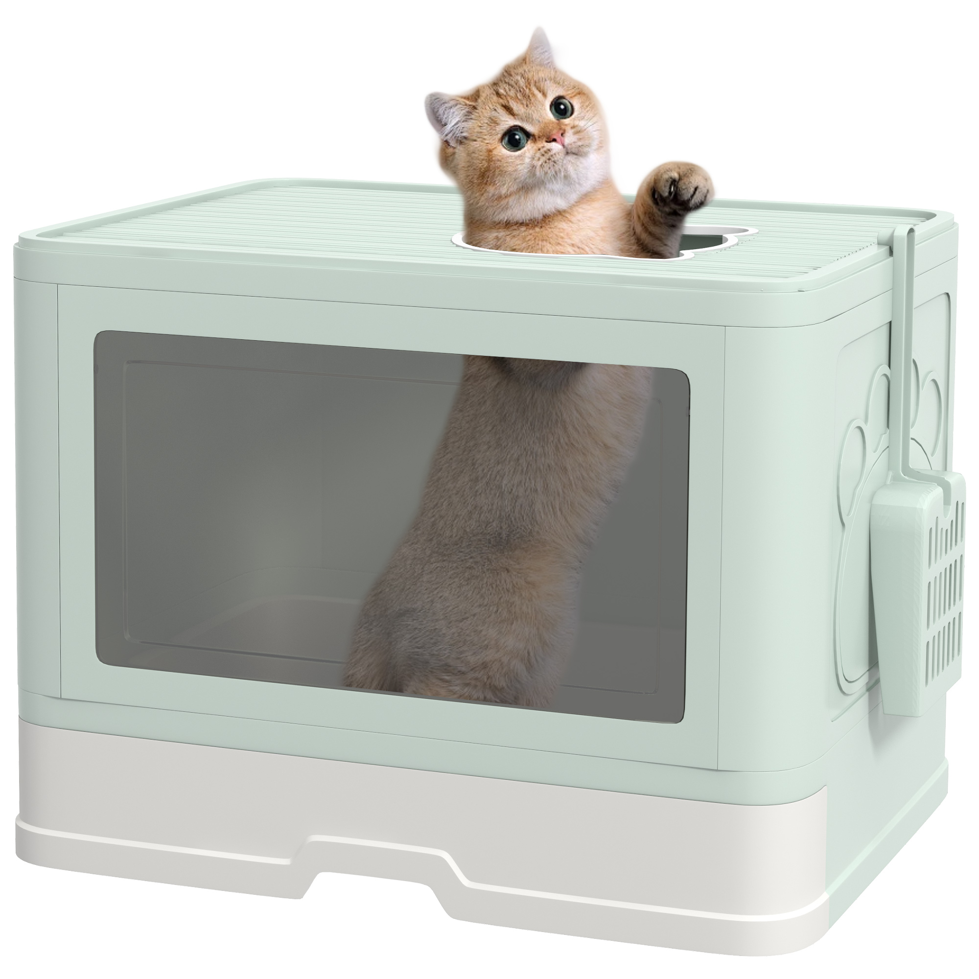 Una lettiera per gatti verde chiaro con un gatto che guarda in alto. Il gatto è nella lettiera.
