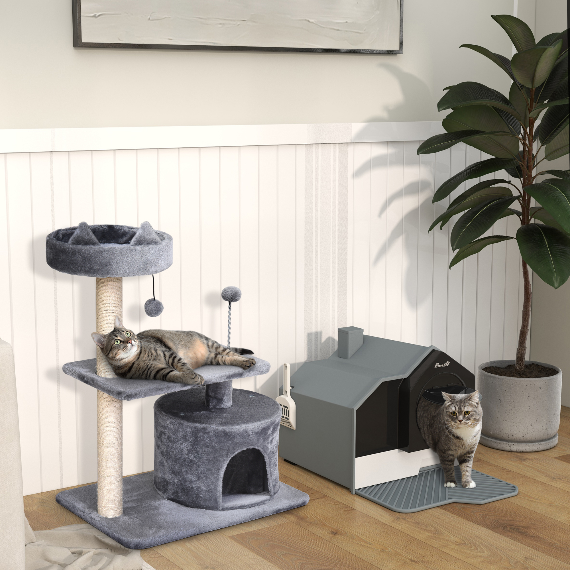 Un gato en un árbol para gatos y un gato entrando en una caja de arena cubierta. El fondo tiene una planta.