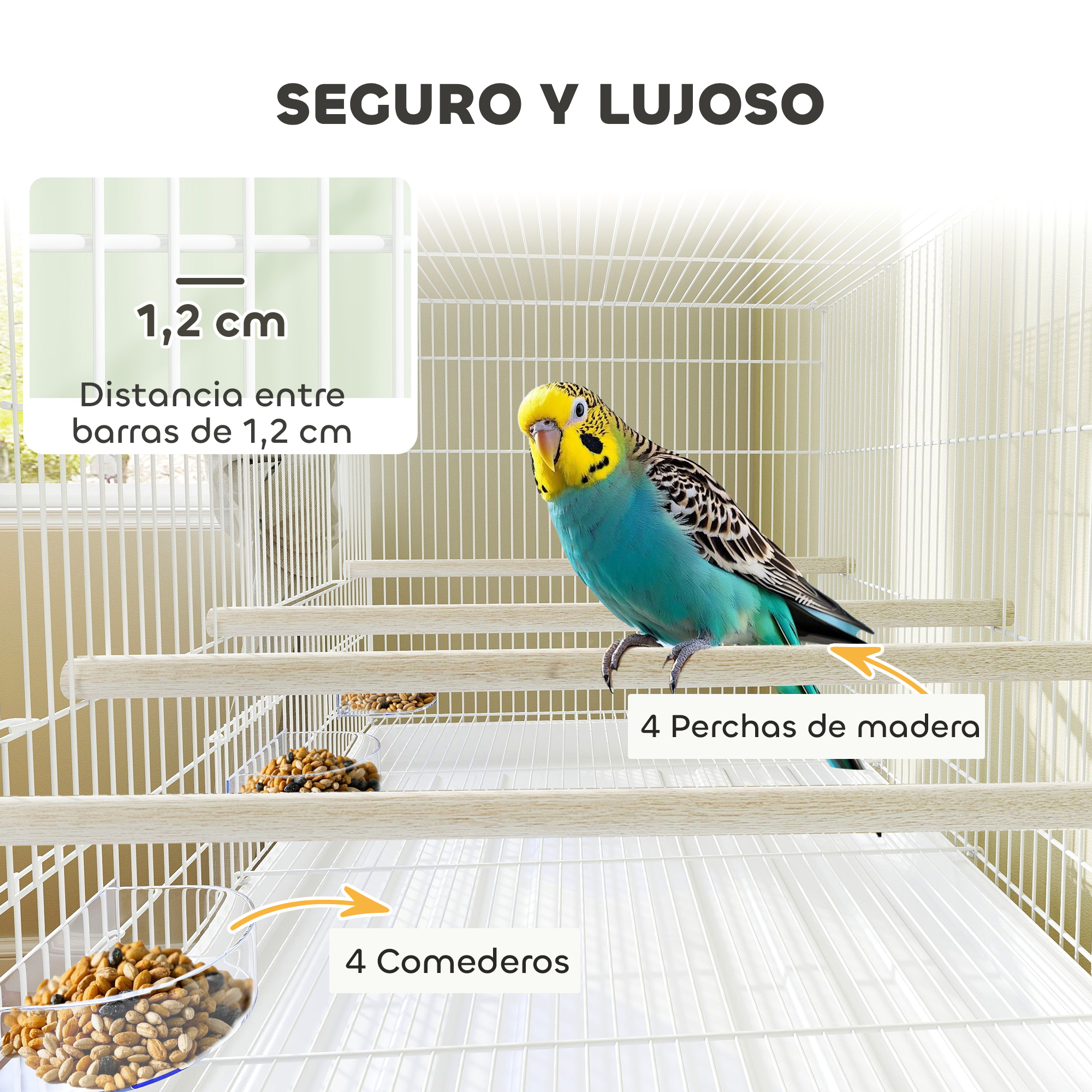 Primer plano de un pájaro en una jaula. Tiene perchas, comida y texto en español.