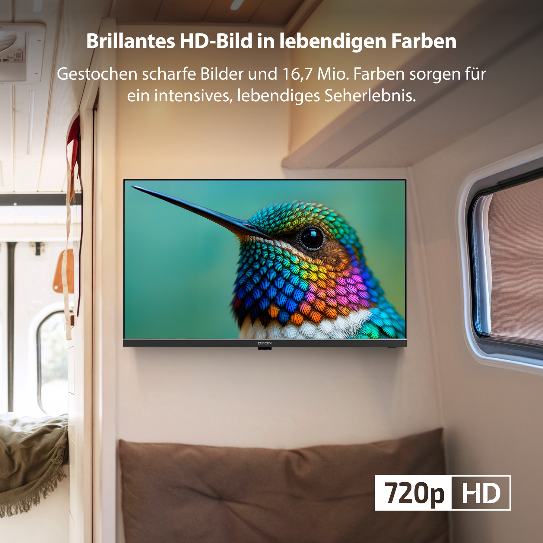 Ein Kolibri wird auf einem Fernsehbildschirm in einem Wohnmobil angezeigt und unterstreicht die lebendige HD-Bildqualität.
