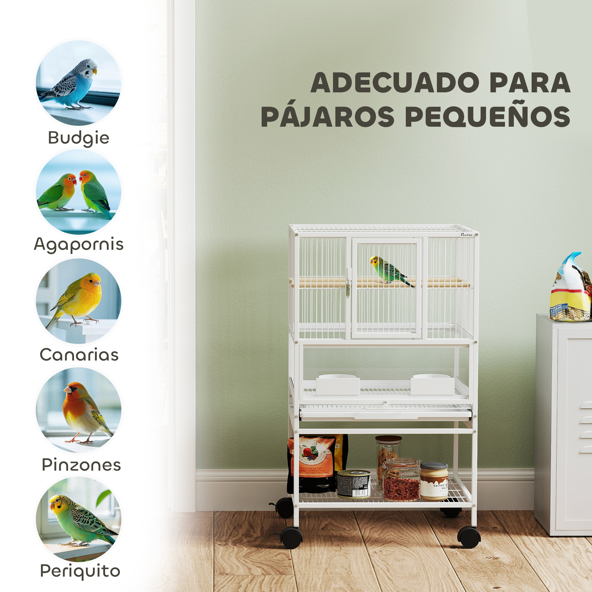 Jaula con lista de aves: periquitos, agapornis, canarios, pinzones y periquitos.