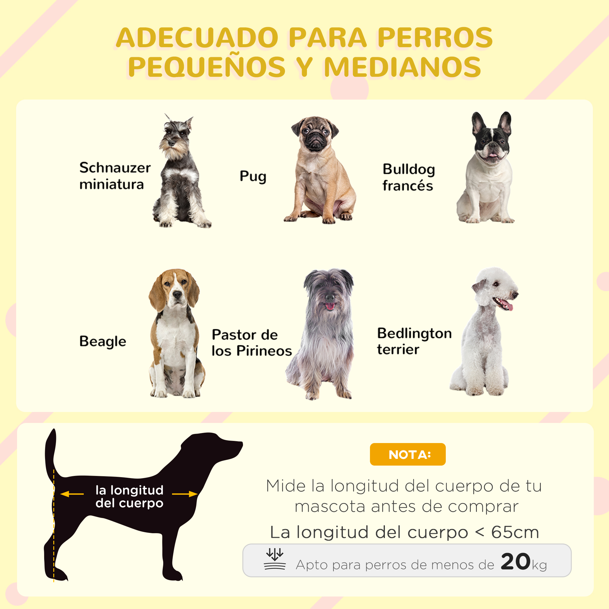 Imagen de varias razas de perros, con guía de tallas. Incluye Schnauzer miniatura, Pug y Beagle.