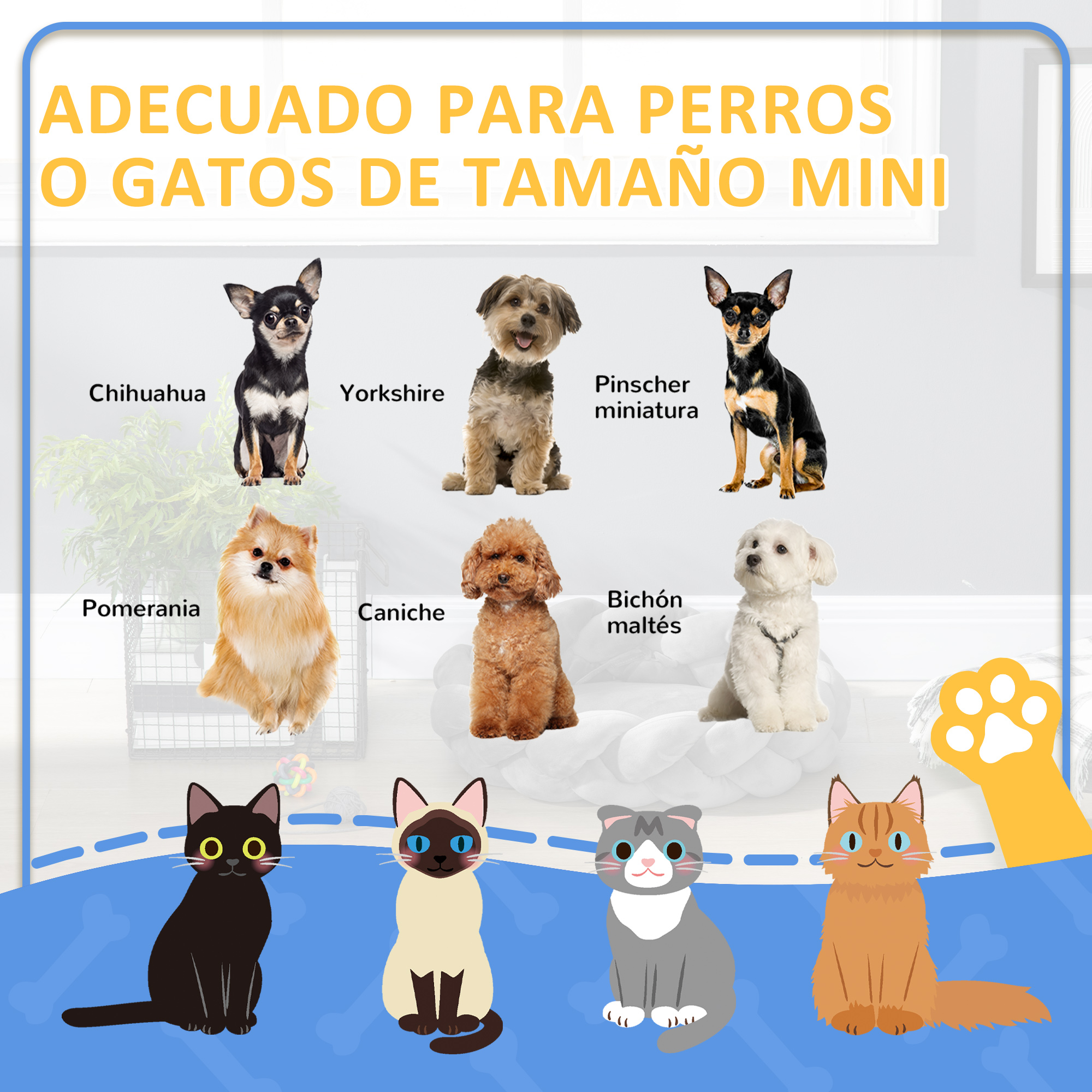 Un gráfico que representa razas de perros y gatos de tamaño mini con un borde decorativo azul y blanco.