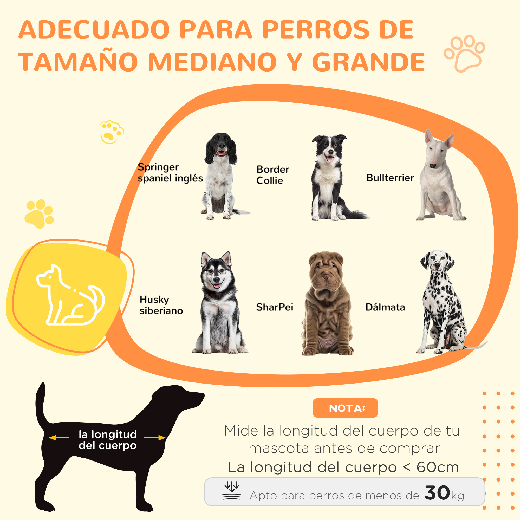 Imagen con razas de perros adecuadas para perros medianos a grandes. Incluye Springer, Husky y más.