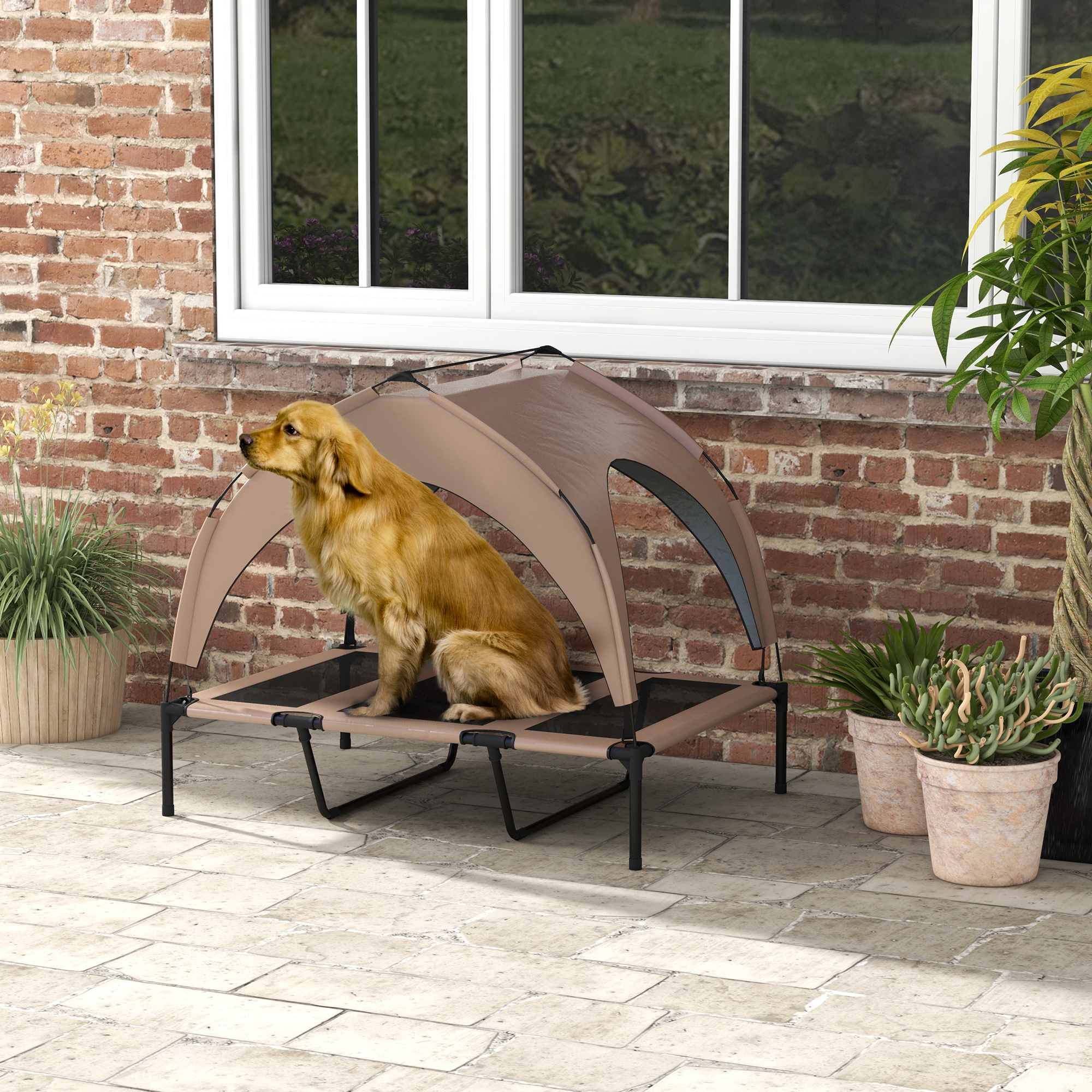 Un perro golden retriever se sienta en una cama para perros con dosel en un patio.