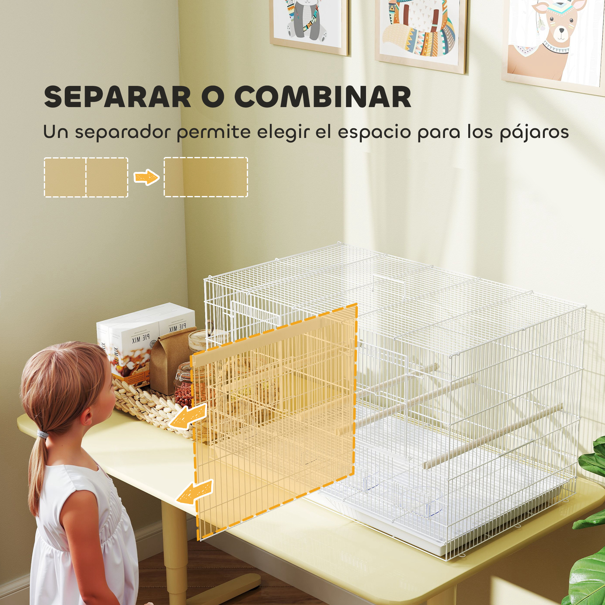 Una niña mira una jaula de pájaros con un separador. Texto: Separar o combinar. Un separador elige el espacio para pájaros.