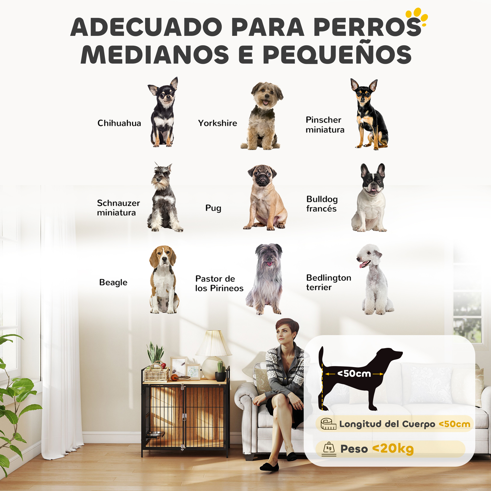 Gráfico con perros de diferentes razas, y una mujer sentada cerca de una jaula para perros.