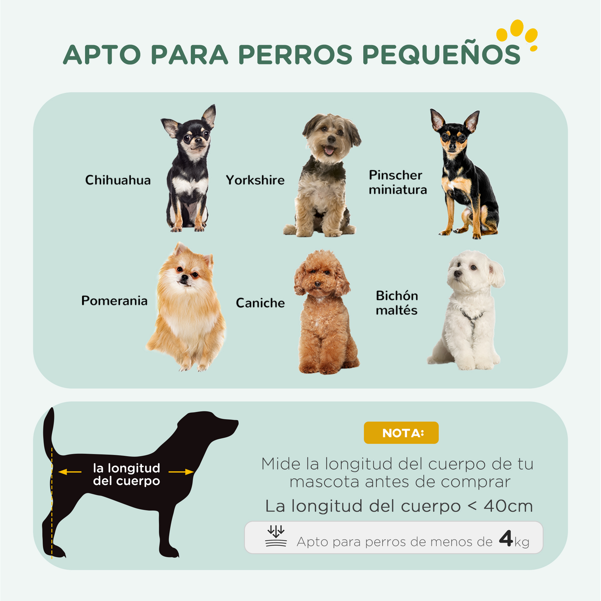 Un gráfico informativo que muestra razas de perros pequeños y guías de tamaño.