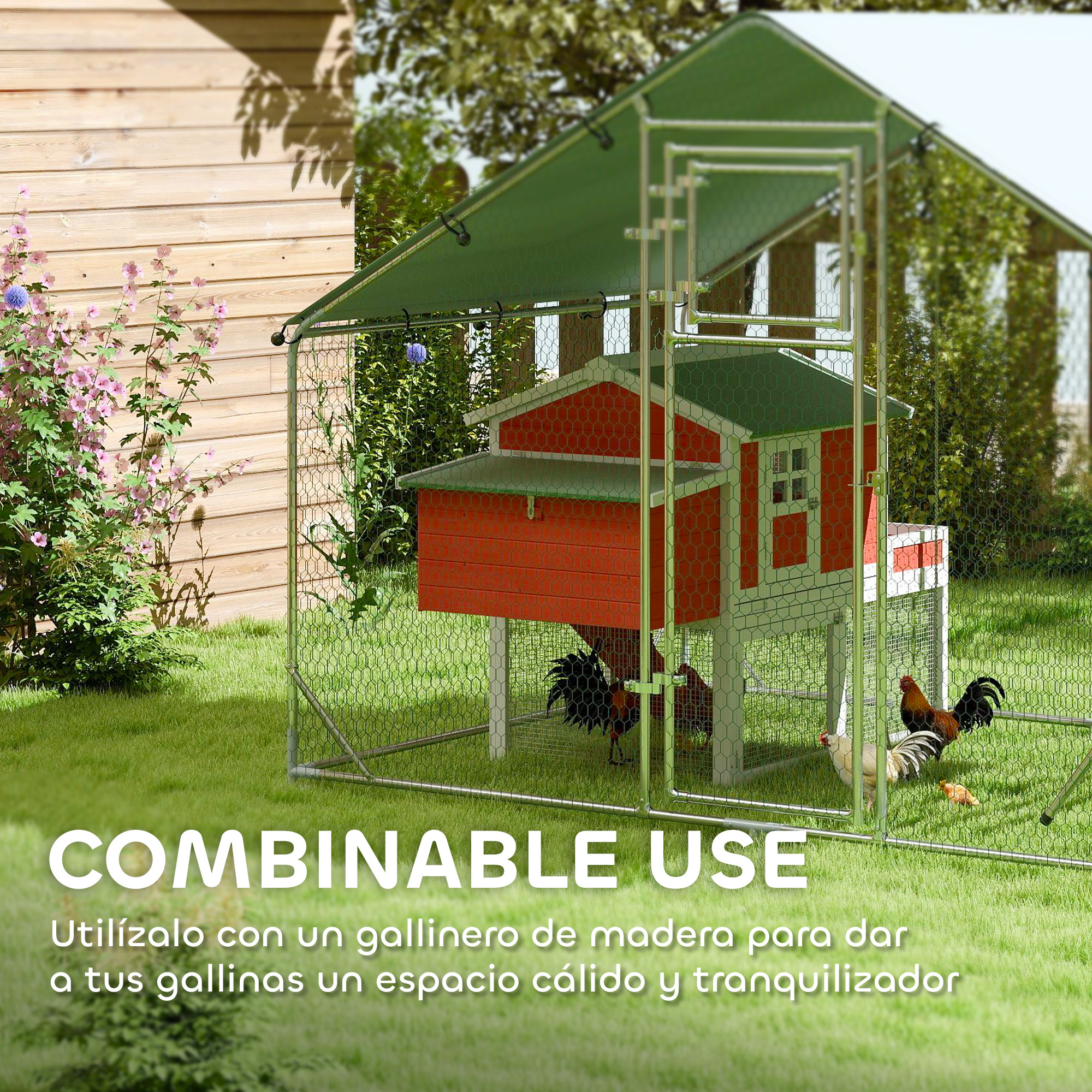 Un gallinero con gallos y gallinas en una zona de césped. Texto: uso combinable.