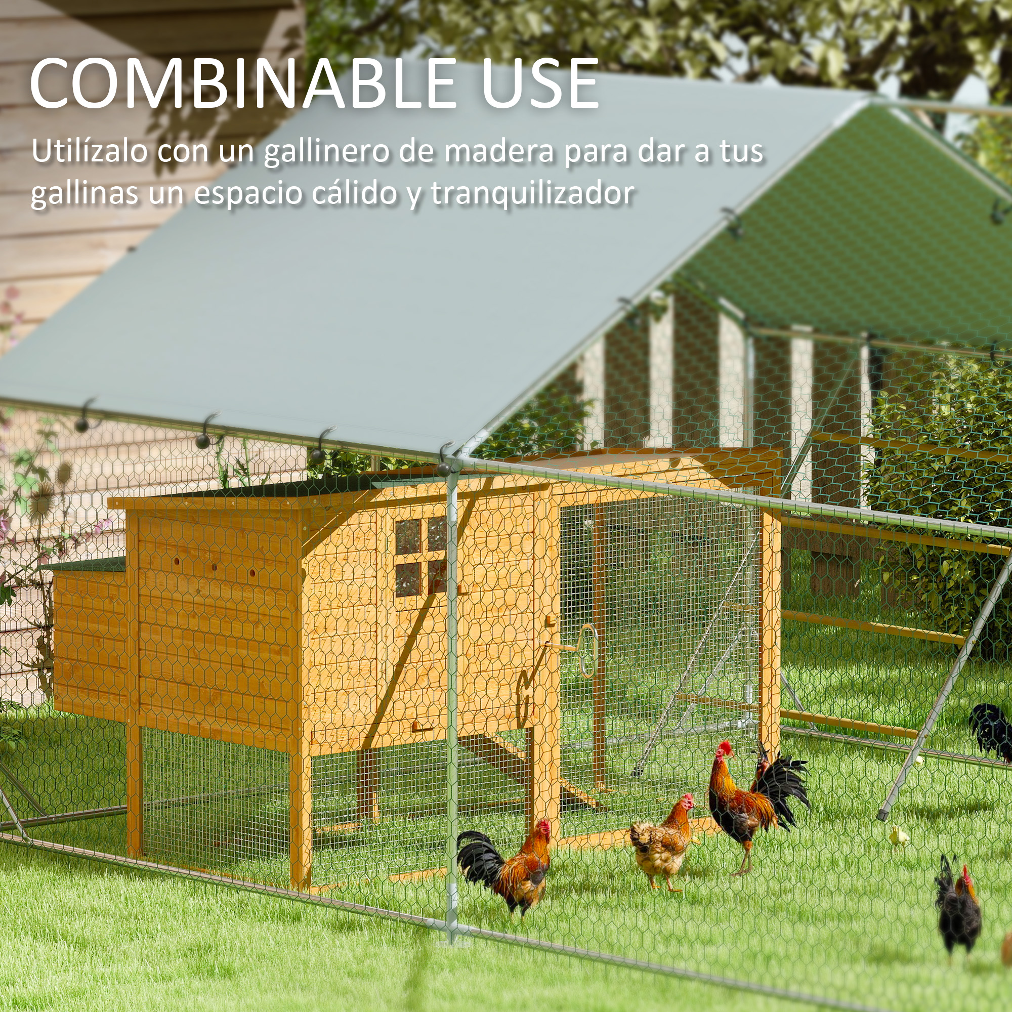 Un gallinero con una casa de madera y gallinas en una zona de césped. Texto: uso combinable.