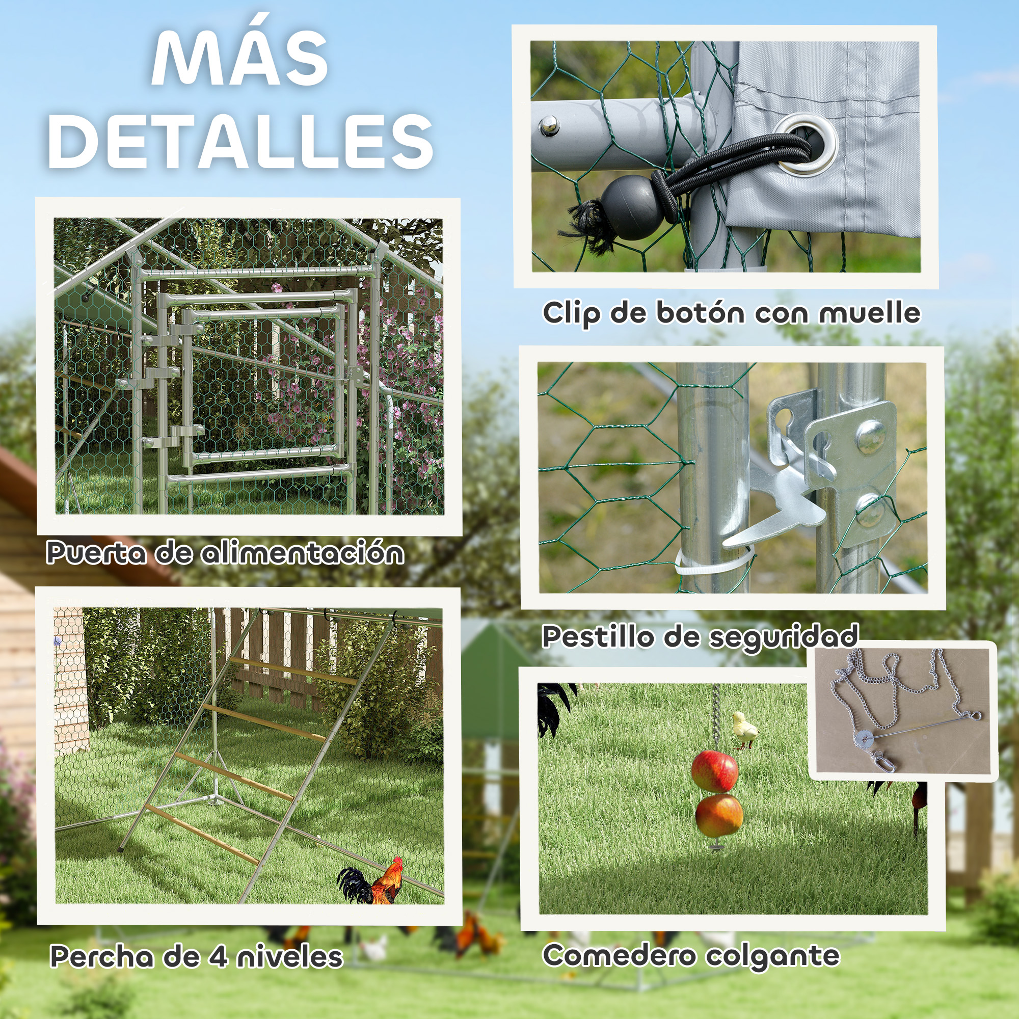 Primeros planos de un gallinero con detalles como puerta, pestillo y comedero colgante.