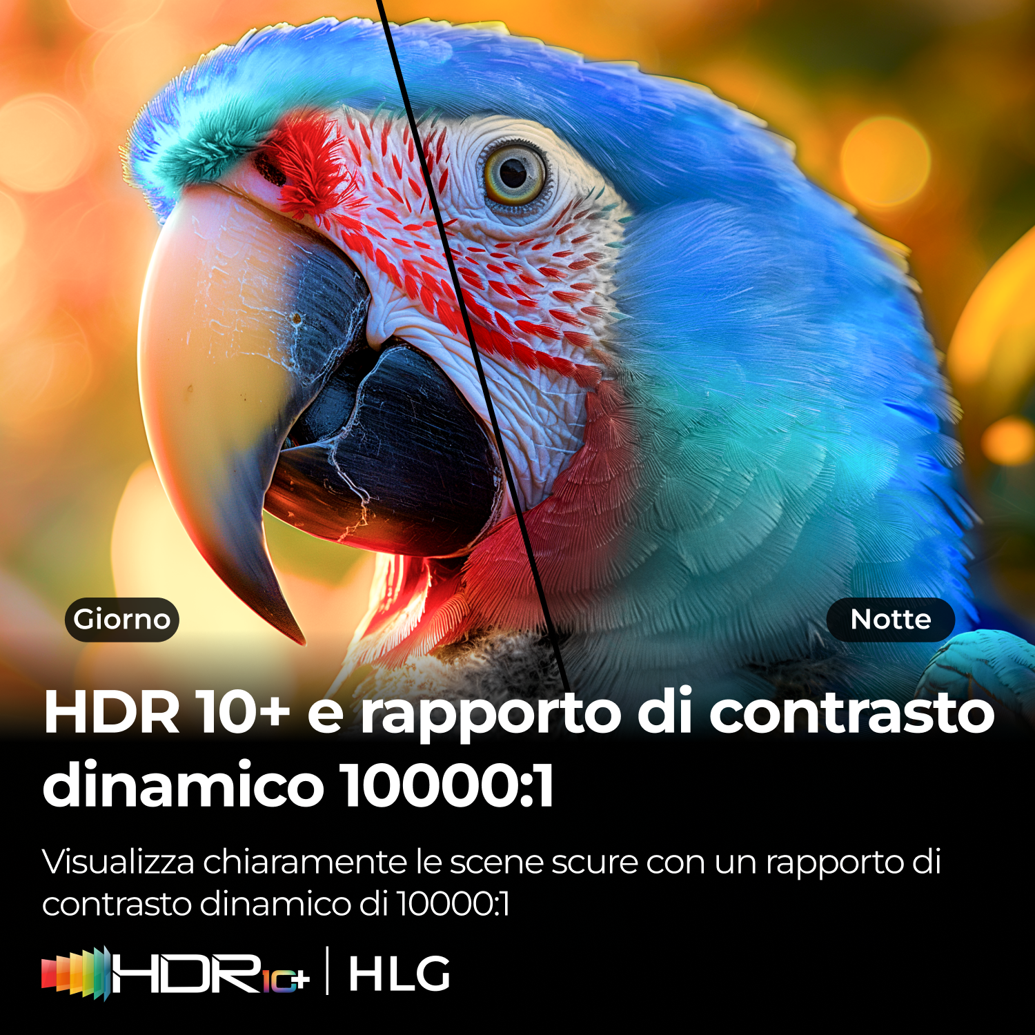 Primo piano di un pappagallo. Testo: HDR 10+ e rapporto di contrasto dinamico 10000:1. Mostra chiaramente scene scure.