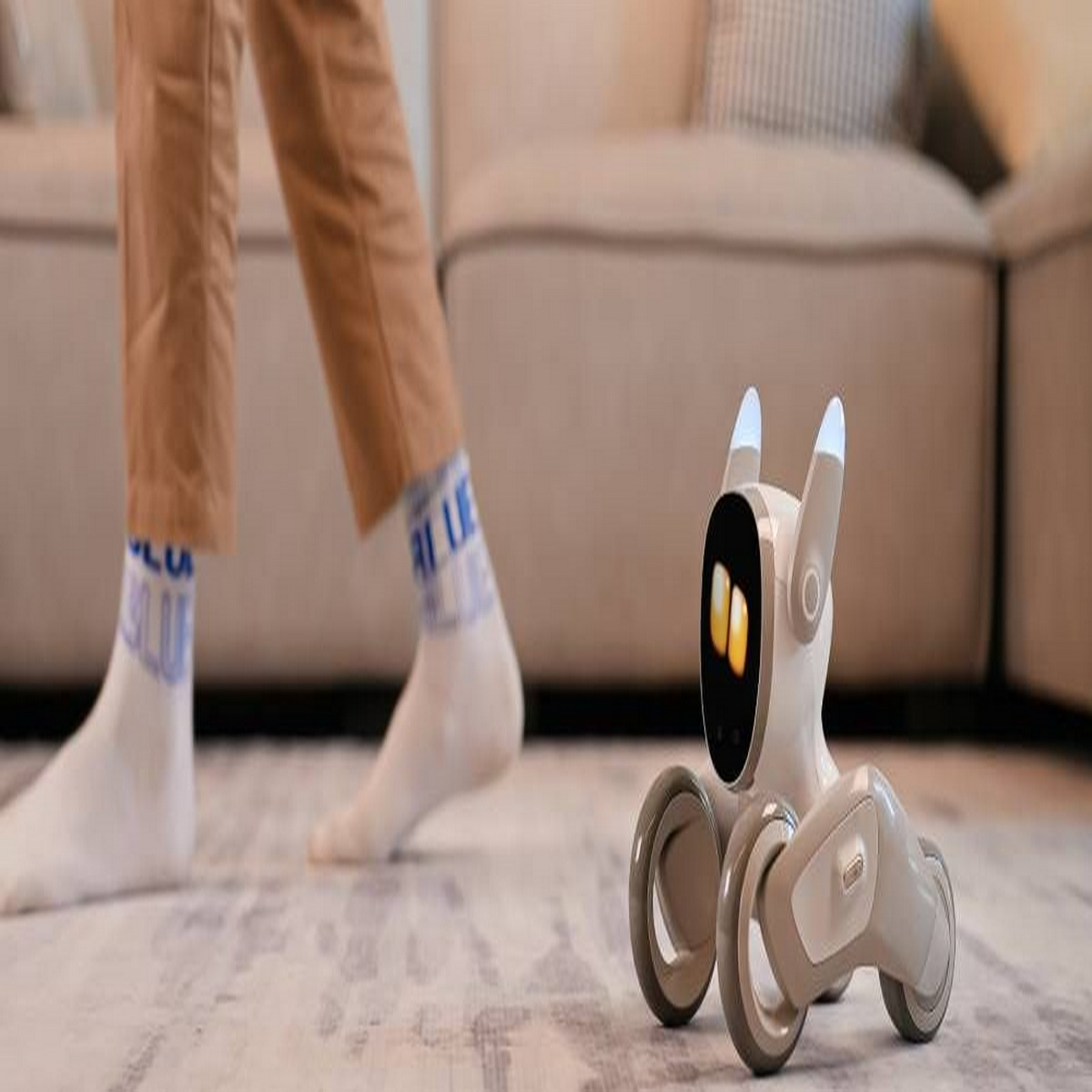 Las piernas de una persona y un robot de juguete están en una habitación. El robot está en el suelo.