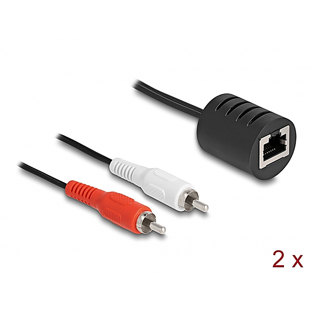 Cavi da RJ45 neri a RCA rossi e bianchi. Due cavi sono visibili. Connettore RJ45 nero.