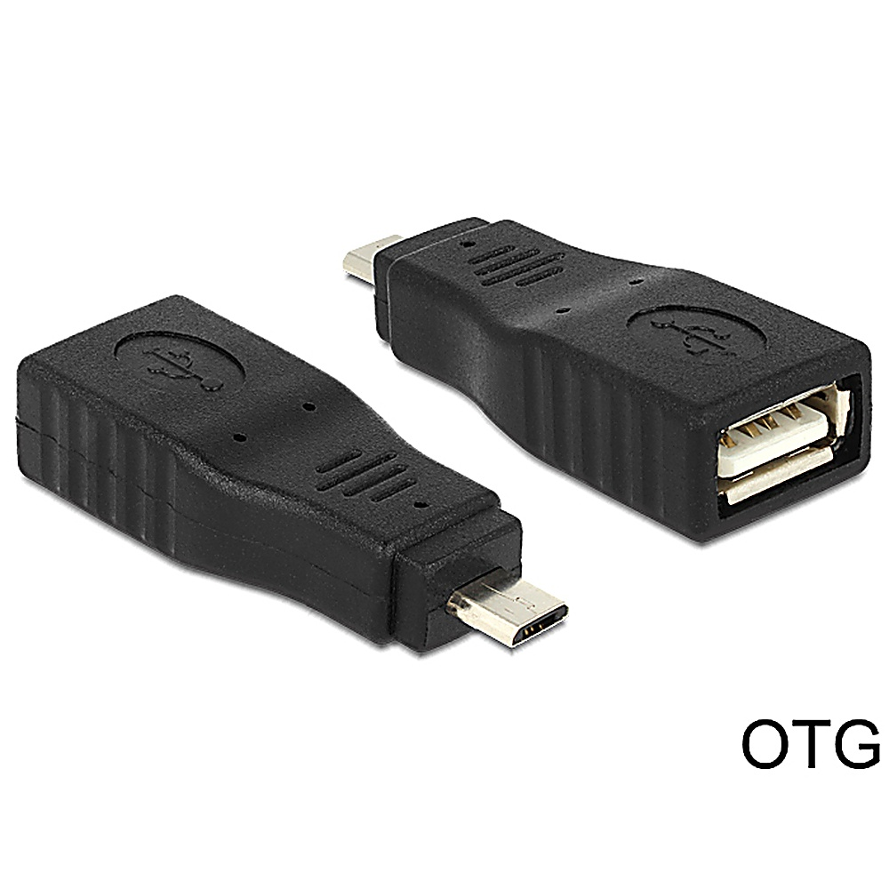 Due adattatori USB neri, uno Micro-USB e uno USB-A.