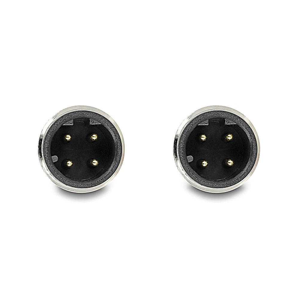 Due connettori argentati con 4 pin dorati.