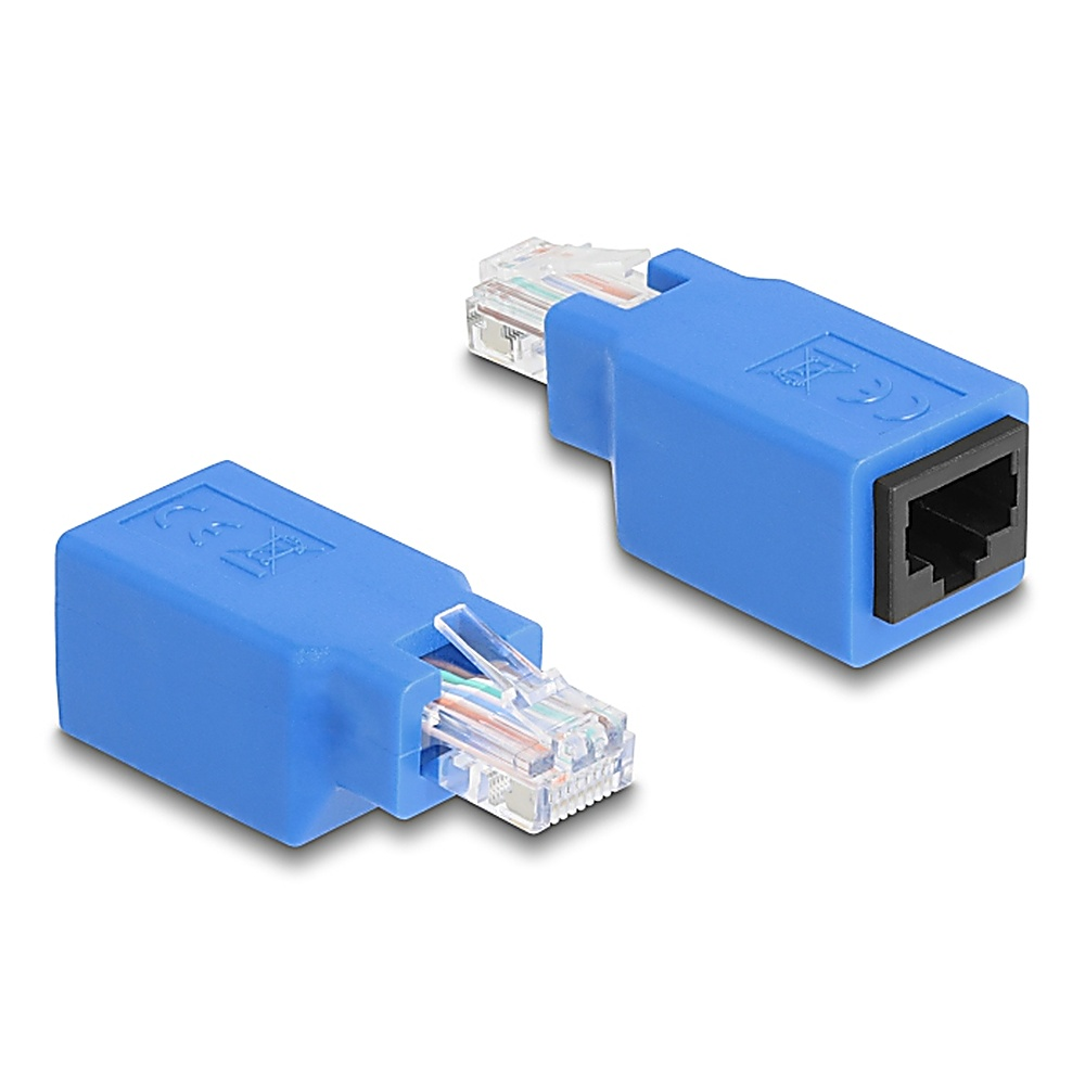 Due connettori di rete blu. Uno ha un connettore RJ45, l'altro un connettore RJ45 trasparente.