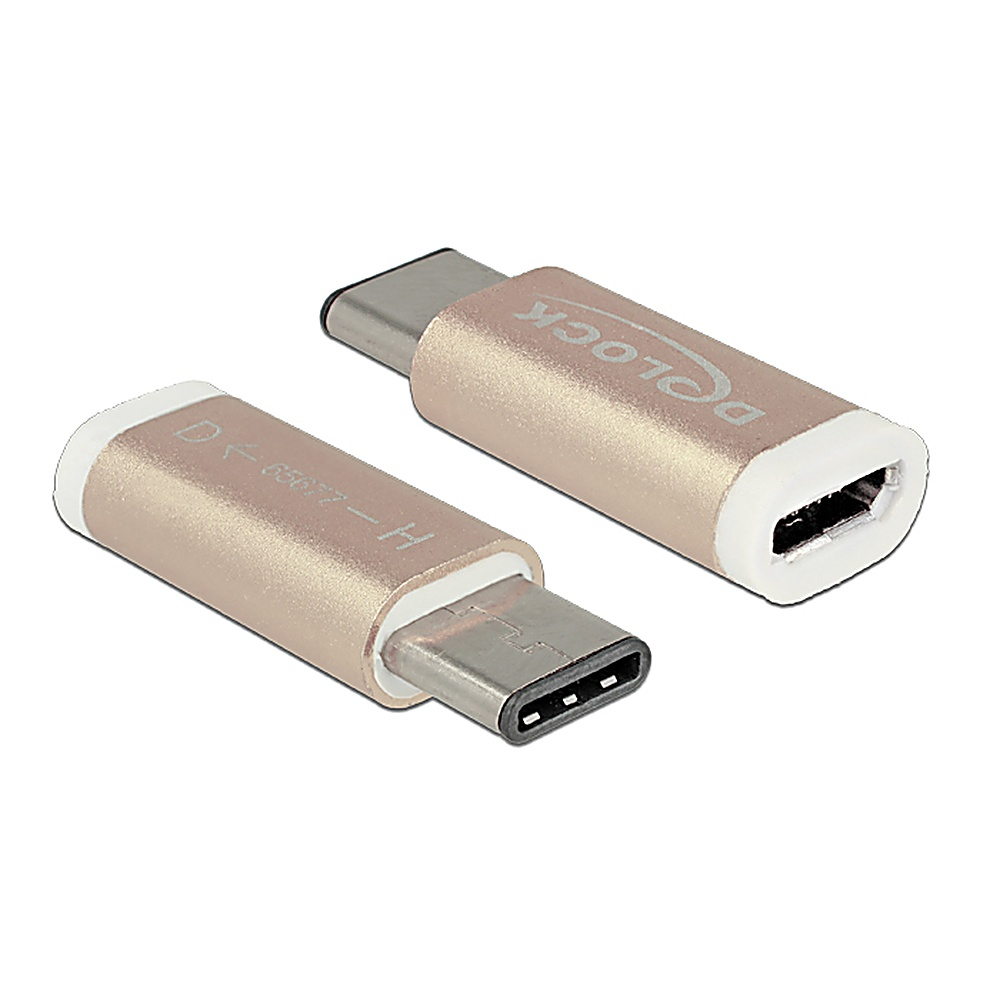 Due adattatori da USB-C a USB-C dorati. Uno mostra una porta USB-C, l'altro una spina USB-C.