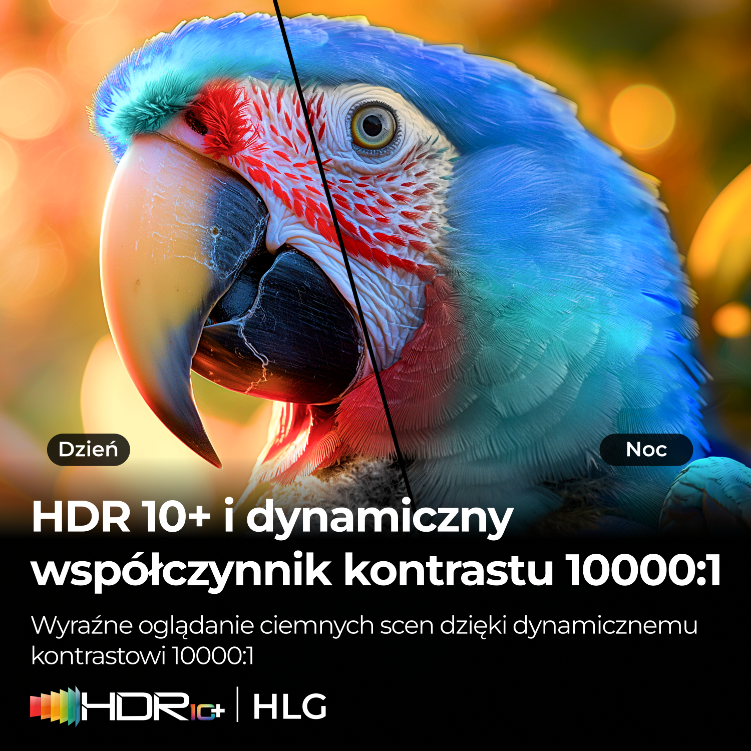 Żywa papuga z niebieskimi piórami, na tle kontrastujących pór dnia i nocy.