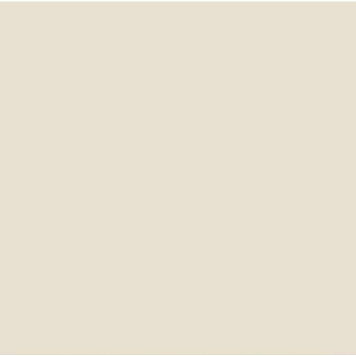 Uno sfondo beige chiaro e semplice.