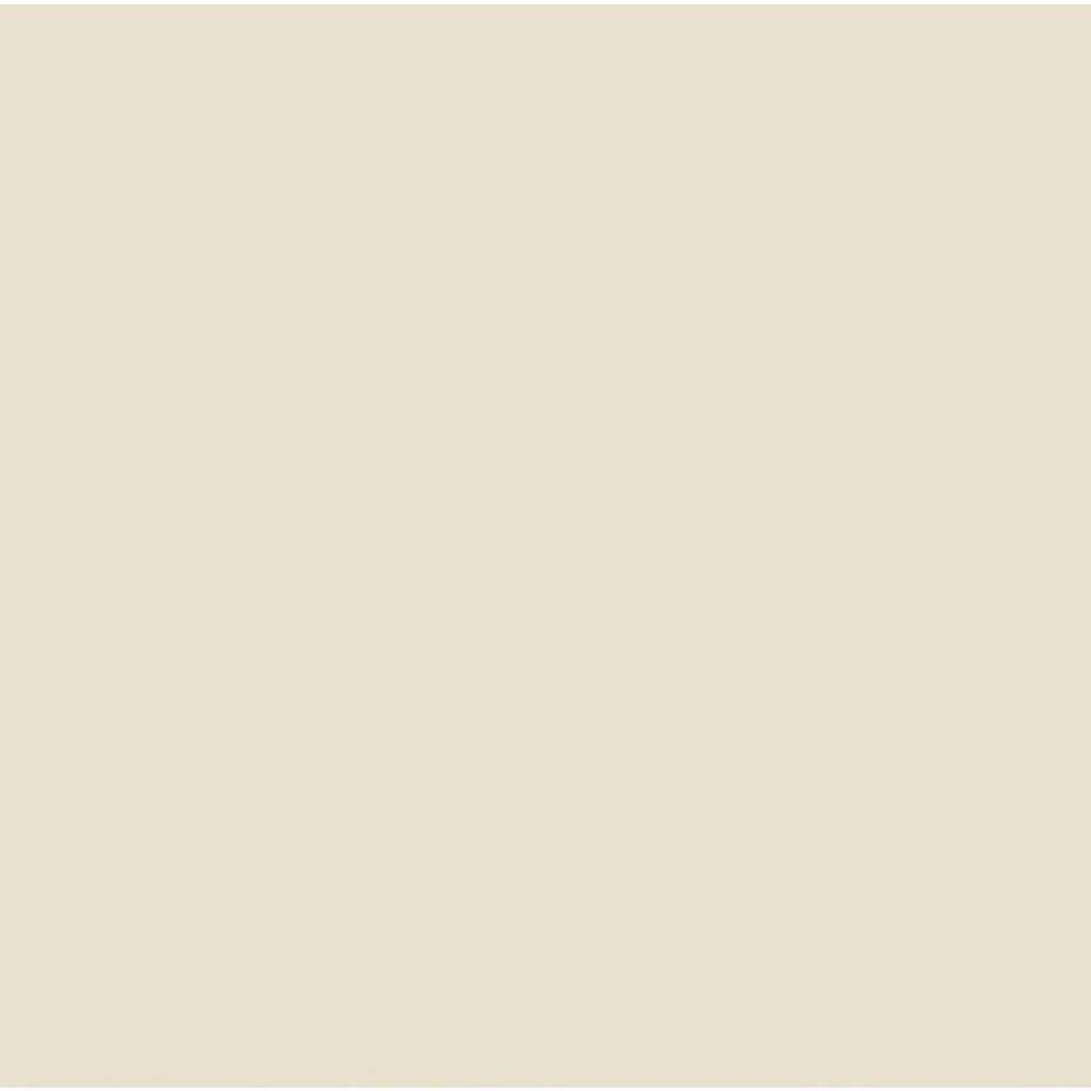 Un fondo beige sólido, liso y poco llamativo.