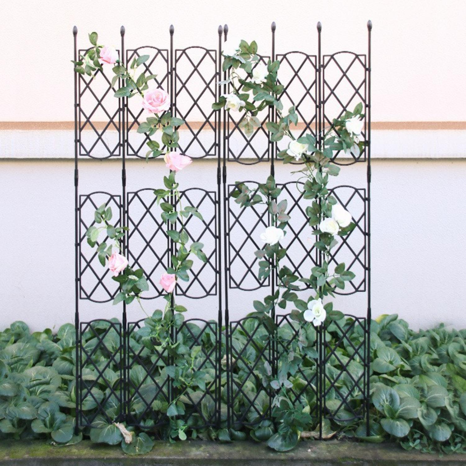 Schwarzes Metall-Gartengitter mit Kletterrosen vor hellfarbiger Wand und grünem Laub.