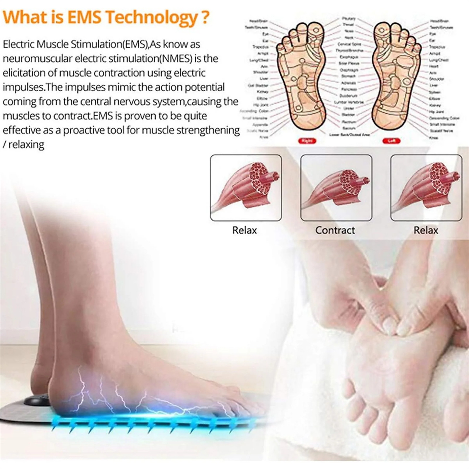 Informatives Diagramm zur EMS-Technologie. Zeigt die Muskelkontraktion. Die Füße sind auf einem Pad mit blauen Linien.