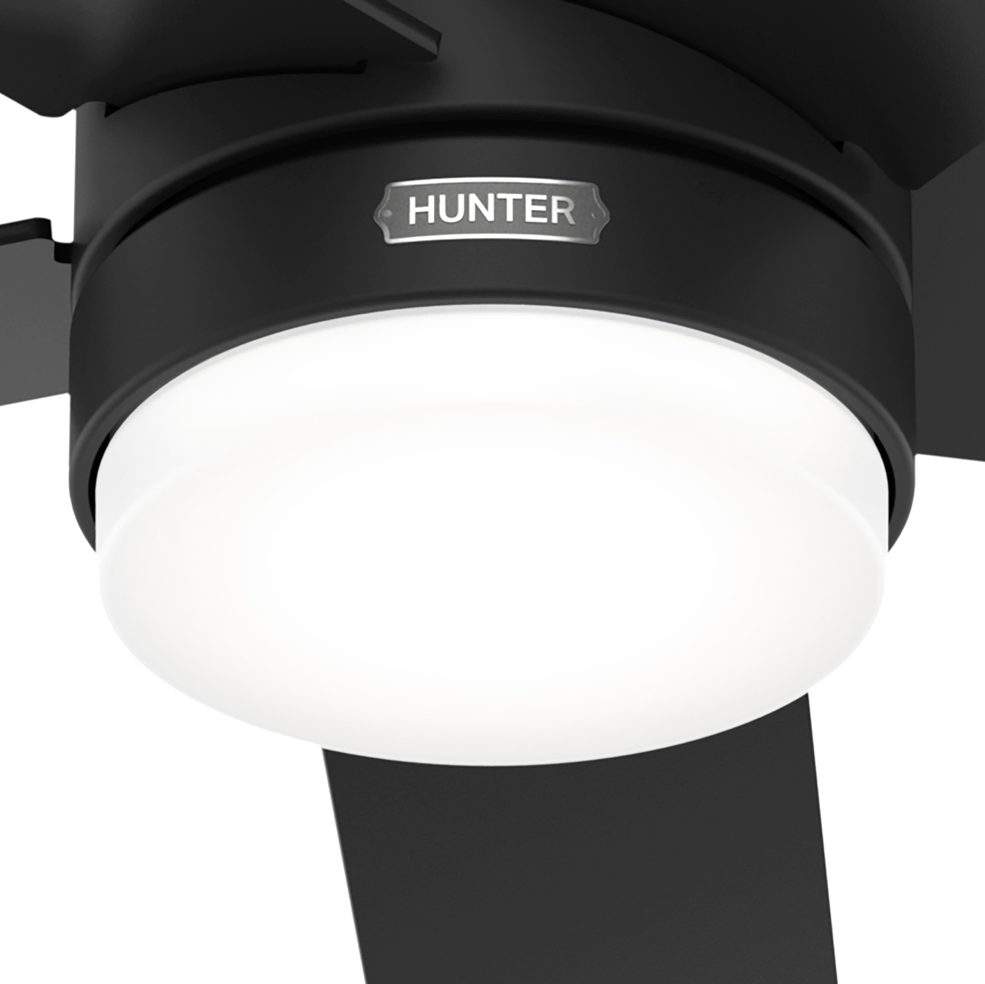 Nahaufnahme des Lichts eines schwarzen Deckenventilators und des 'Hunter'-Logos.