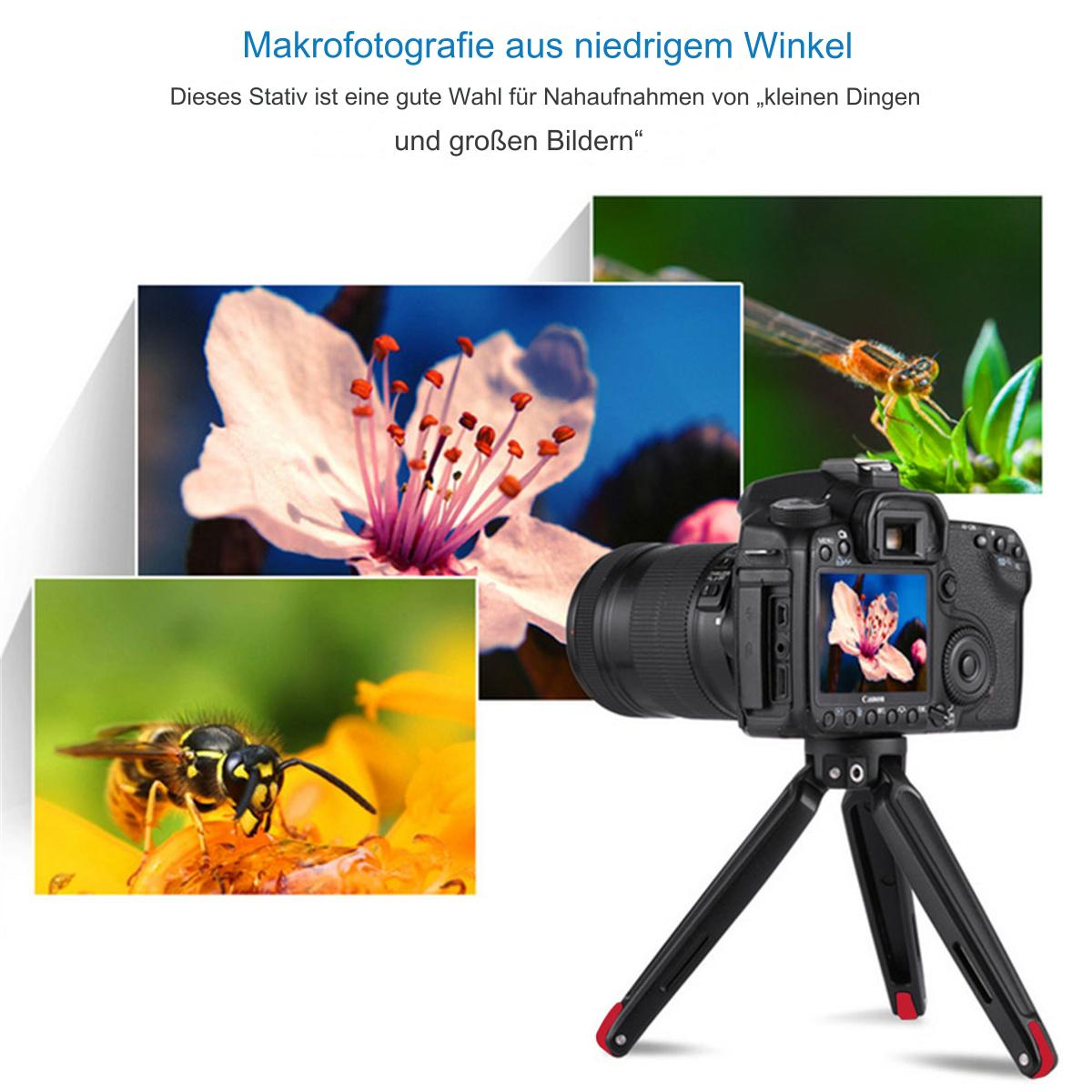 Nahaufnahmen einer Blume, einer Wespe und einer Libelle. Eine Kamera und ein Stativ sind ebenfalls im Bild.