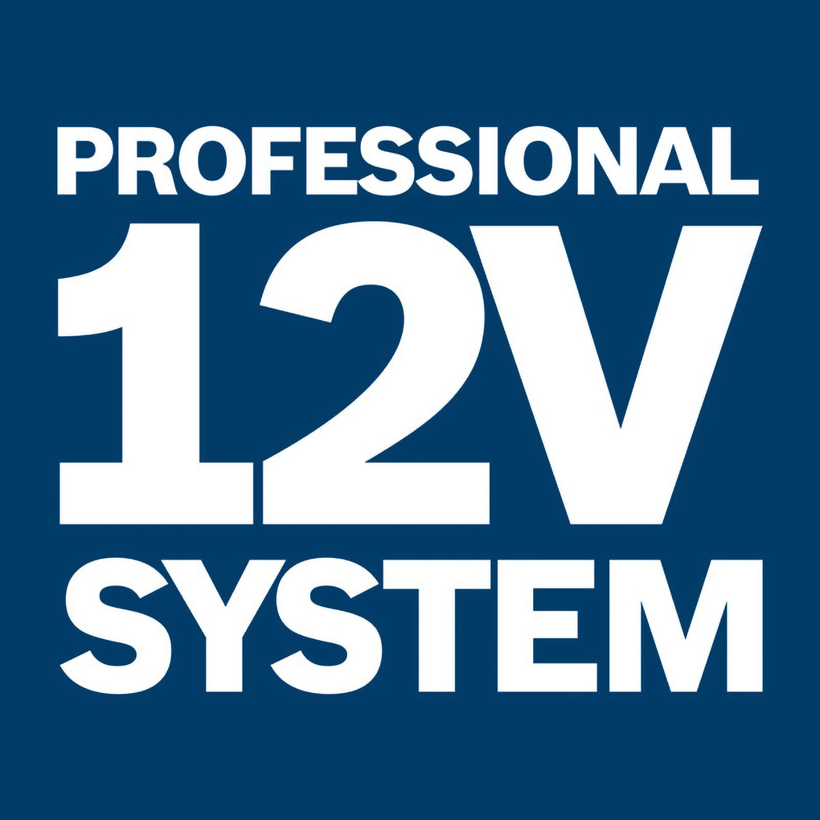 Tekst: 'PROFESSIONAL 12V SYSTEM' na ciemnoniebieskim tle. Tekst jest biały.
