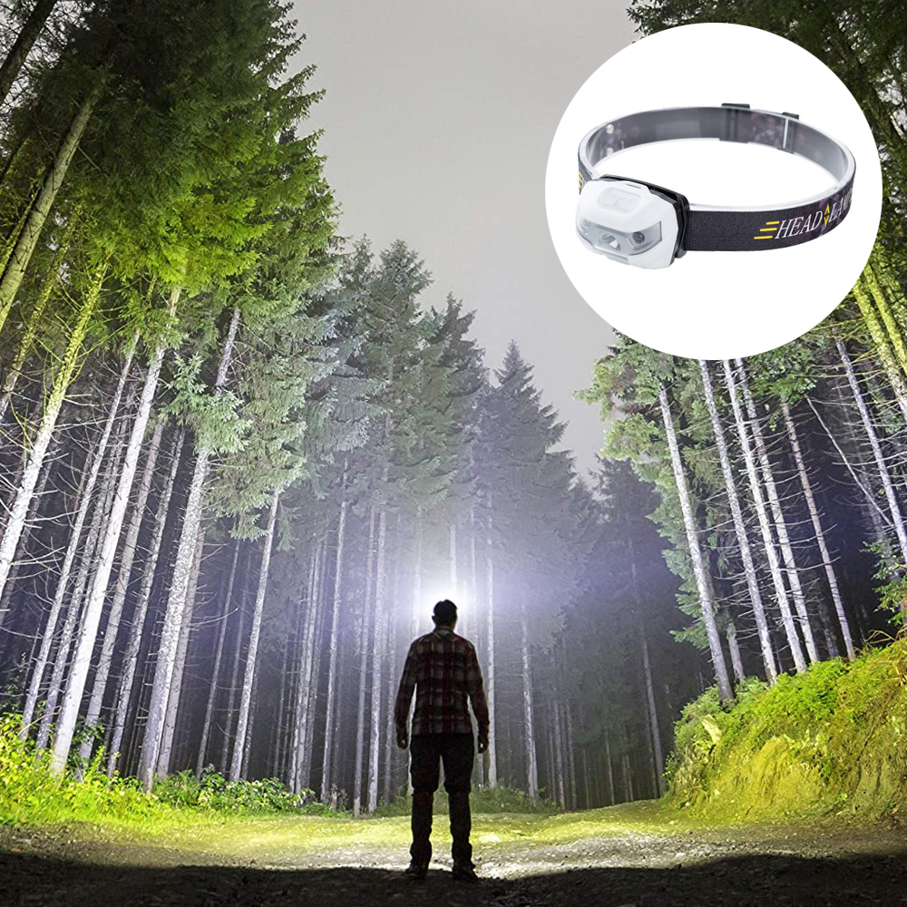 Eine Person mit Stirnlampe leuchtet in einen Wald. Ein kleineres Bild zeigt die Stirnlampe nah.