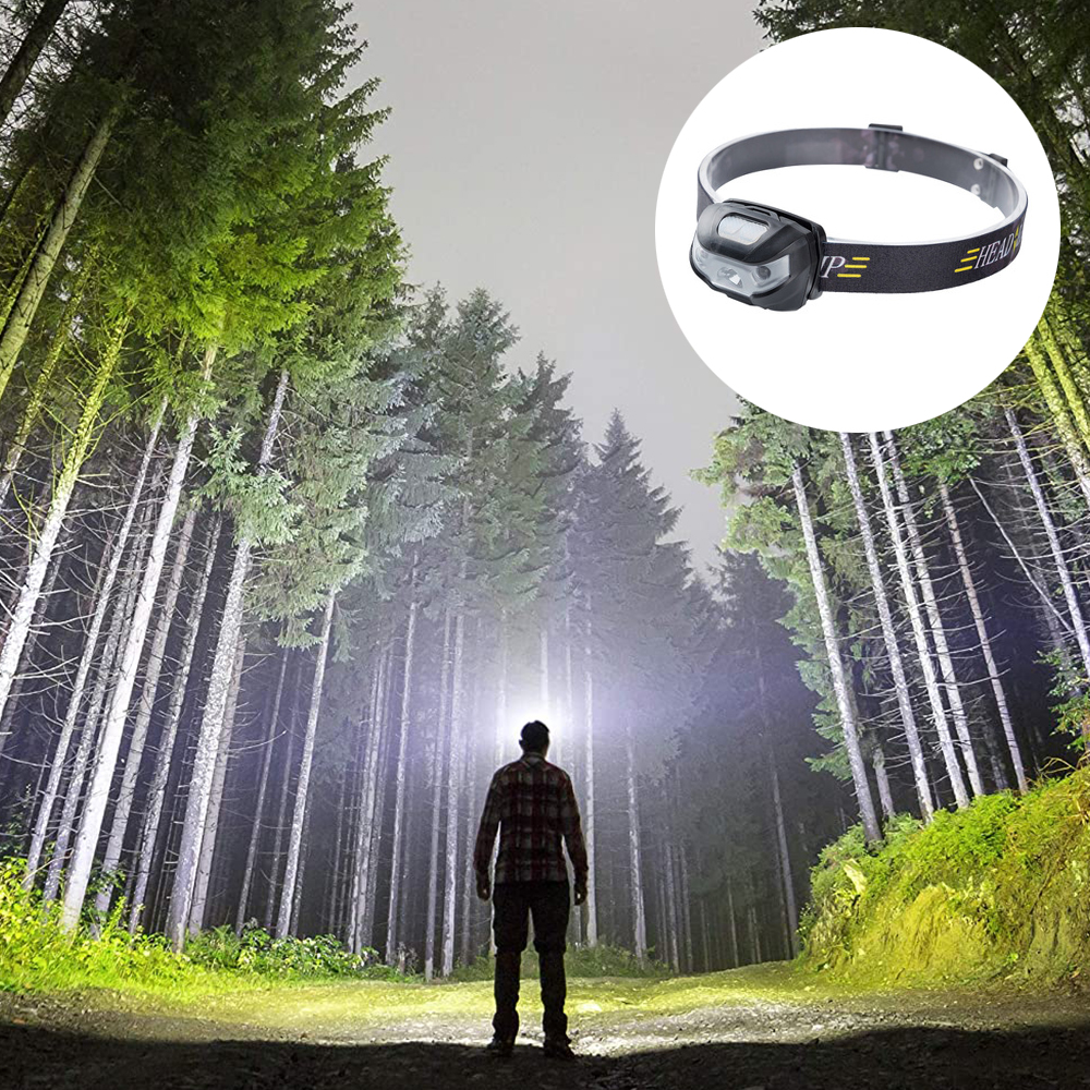 Eine Person steht in einem Wald, beleuchtet von einer Stirnlampe. Hohe Bäume säumen den Weg. Eine Stirnlampe ist im Kreis.