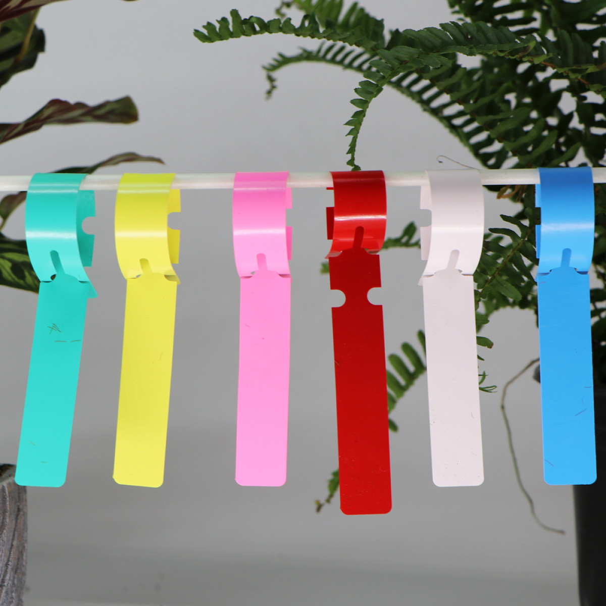 Pflanzenanhänger hängen an einer weißen Stange. Farben: Türkis, Gelb, Rosa, Rot, Weiß und Blau, Pflanzen im Hintergrund.