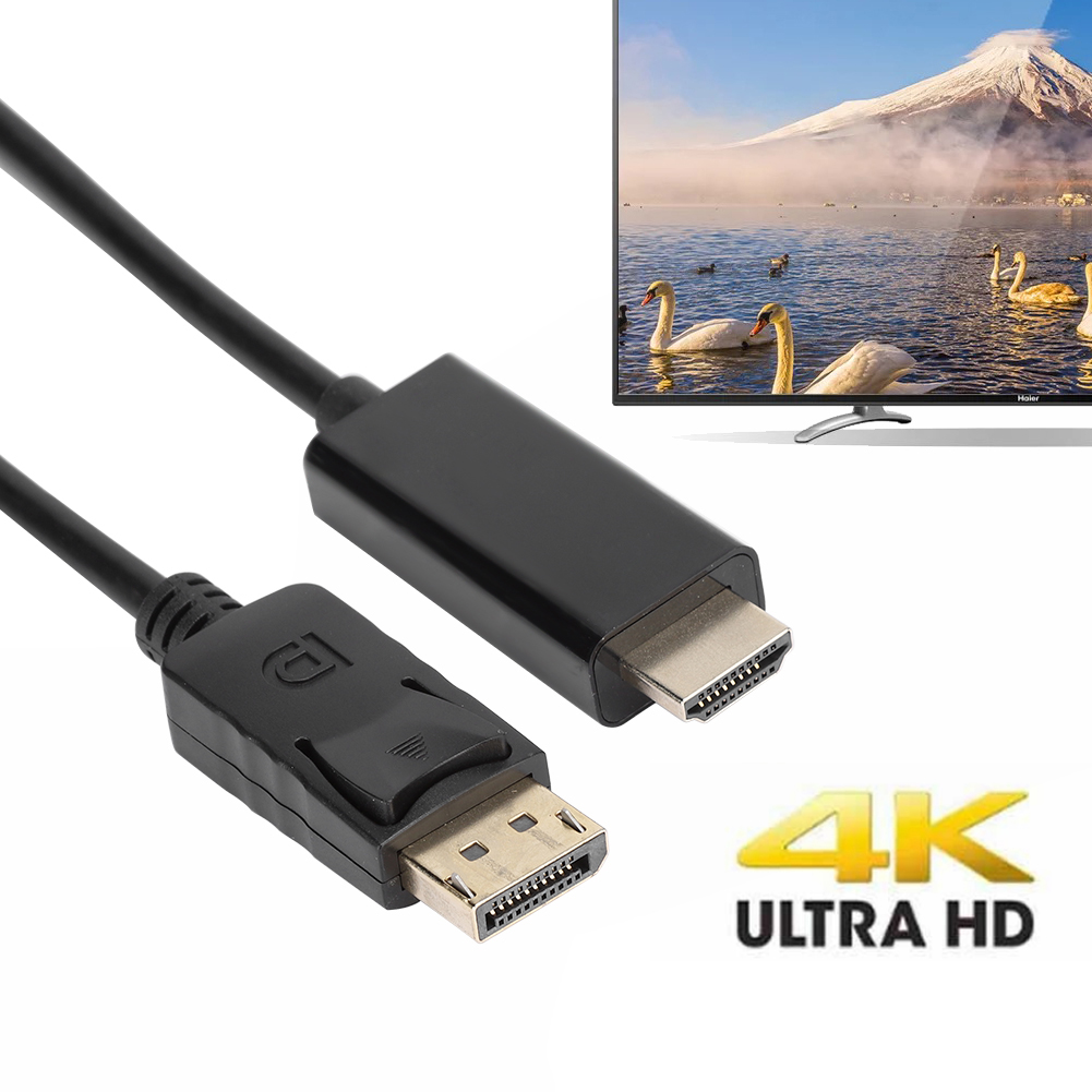 DisplayPort-zu-HDMI-Kabel. Schwäne auf einem See und ein Berg im Hintergrund.