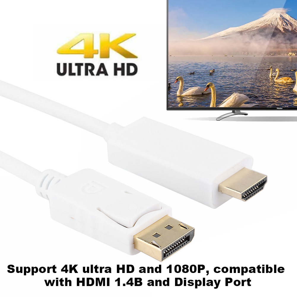 Ein weißes Kabel mit DisplayPort- und HDMI-Anschlüssen. Ein Fernseher zeigt Schwäne auf einem See im Hintergrund.
