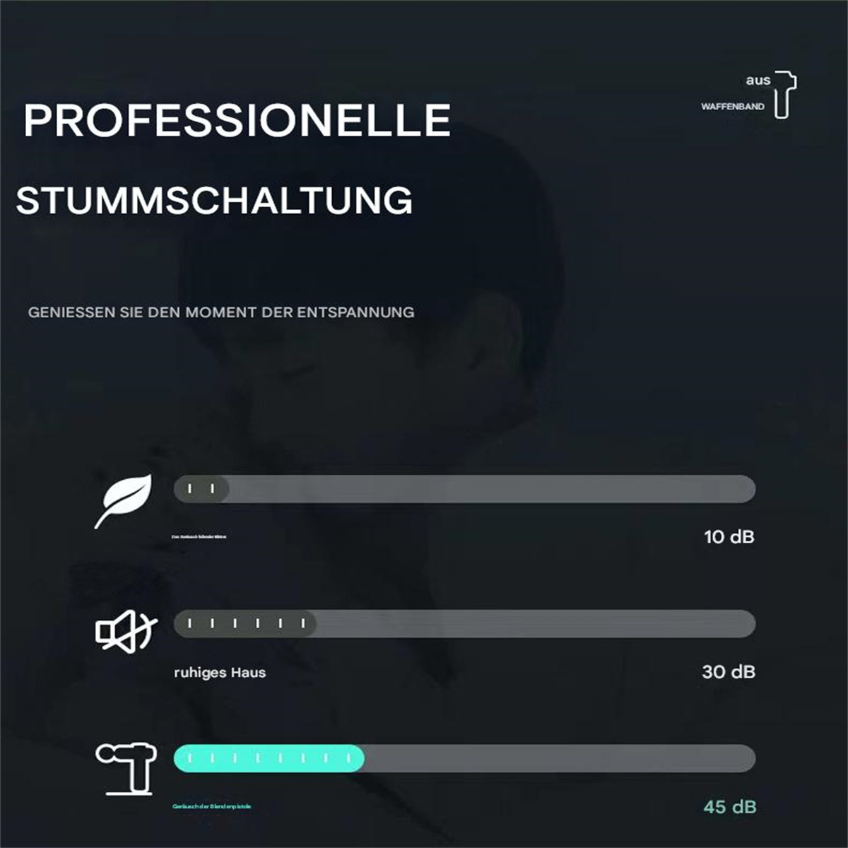 Diagramm der Geräuschpegel mit Icons und Text. Zeigt Geräuschpegel von leise bis laut.