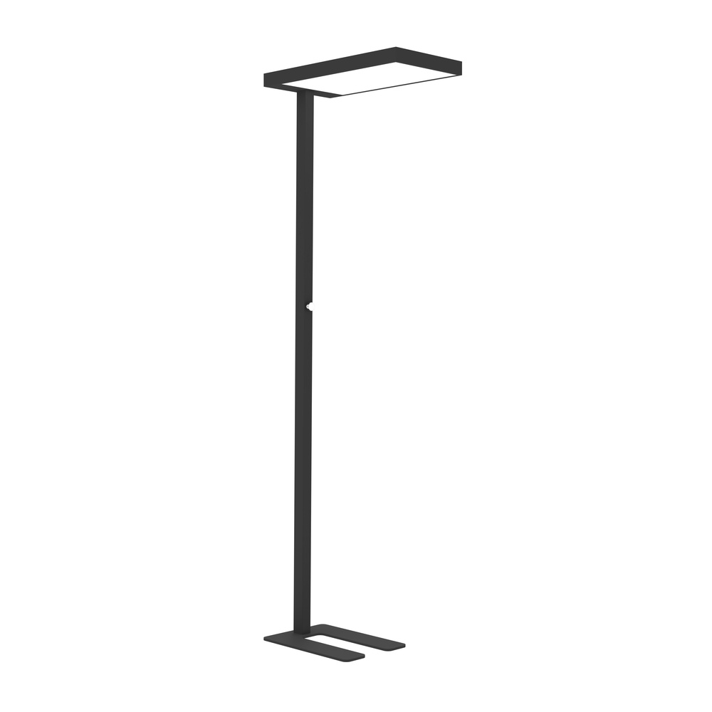 Eine schwarze Stehlampe im modernen Stil mit einem rechteckigen Licht oben.