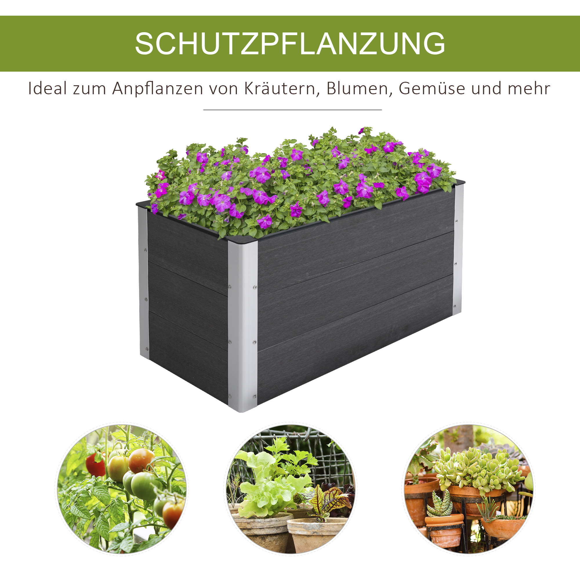 Ein rechteckiges Gartenbeet mit Blumen und Pflanzen. Weitere Bilder von Pflanzen umgeben das Hauptbild.