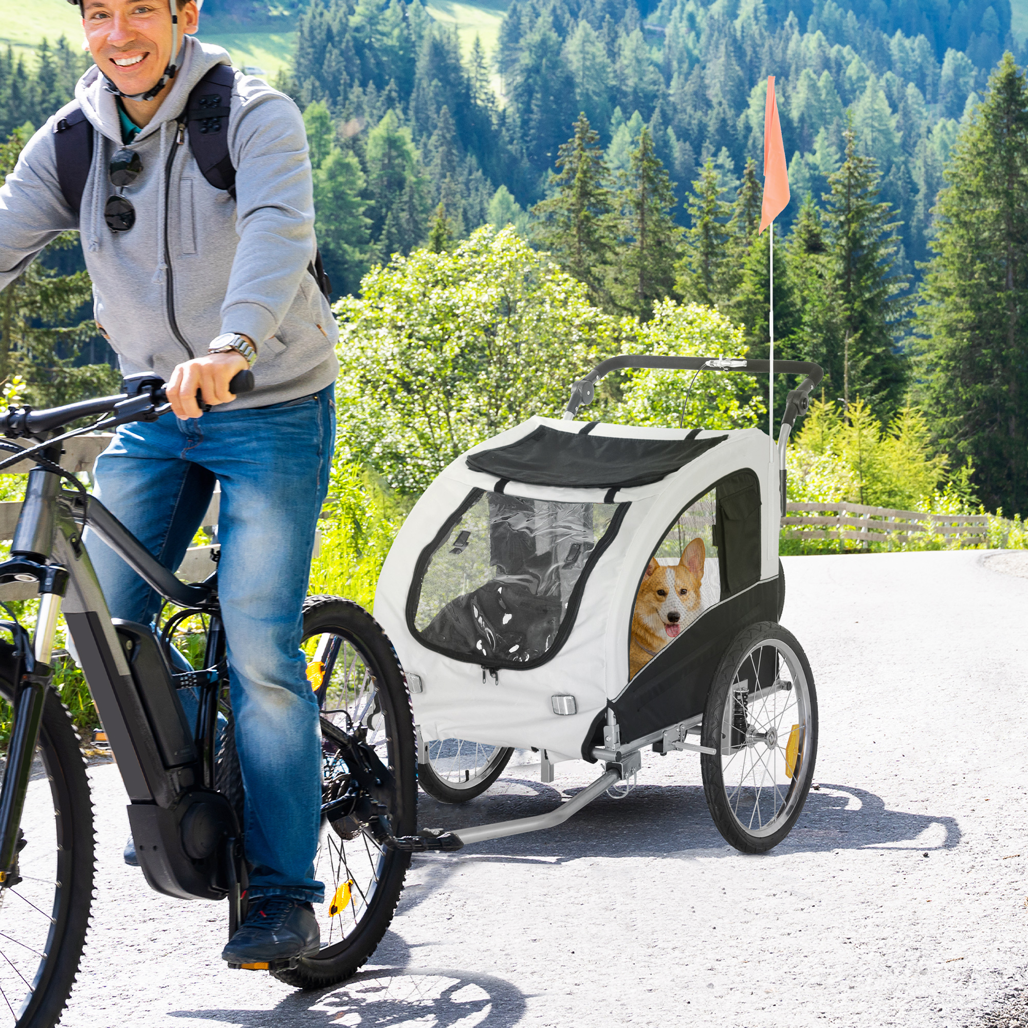 Ein Mann fährt Fahrrad und zieht einen Hundeanhänger auf einer asphaltierten Straße mit Bäumen und Bergen im Hintergrund.