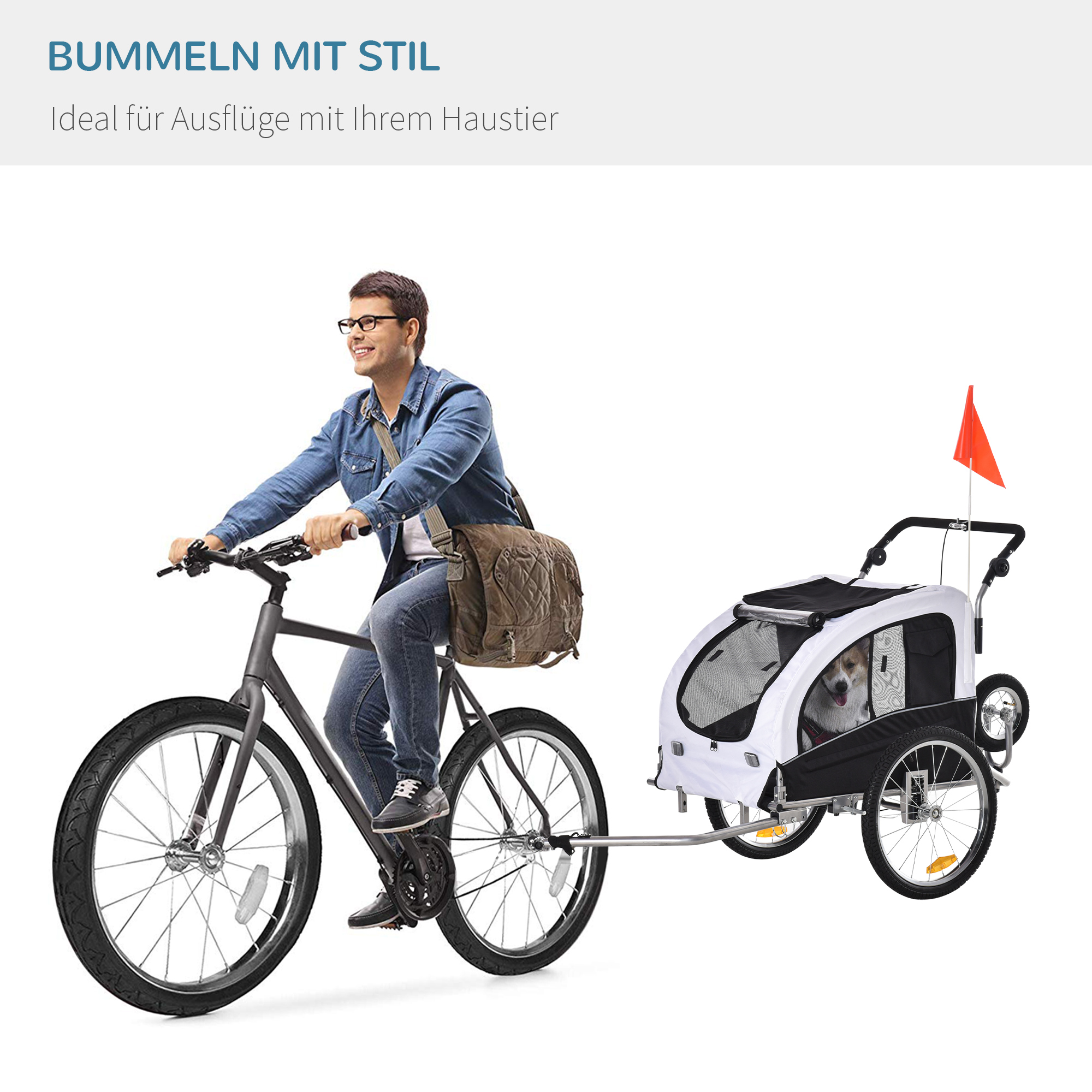 Eine Person fährt Fahrrad und zieht einen Tieranhänger mit zwei Hunden. Über dem Bild steht BUMMELN MIT STIL.